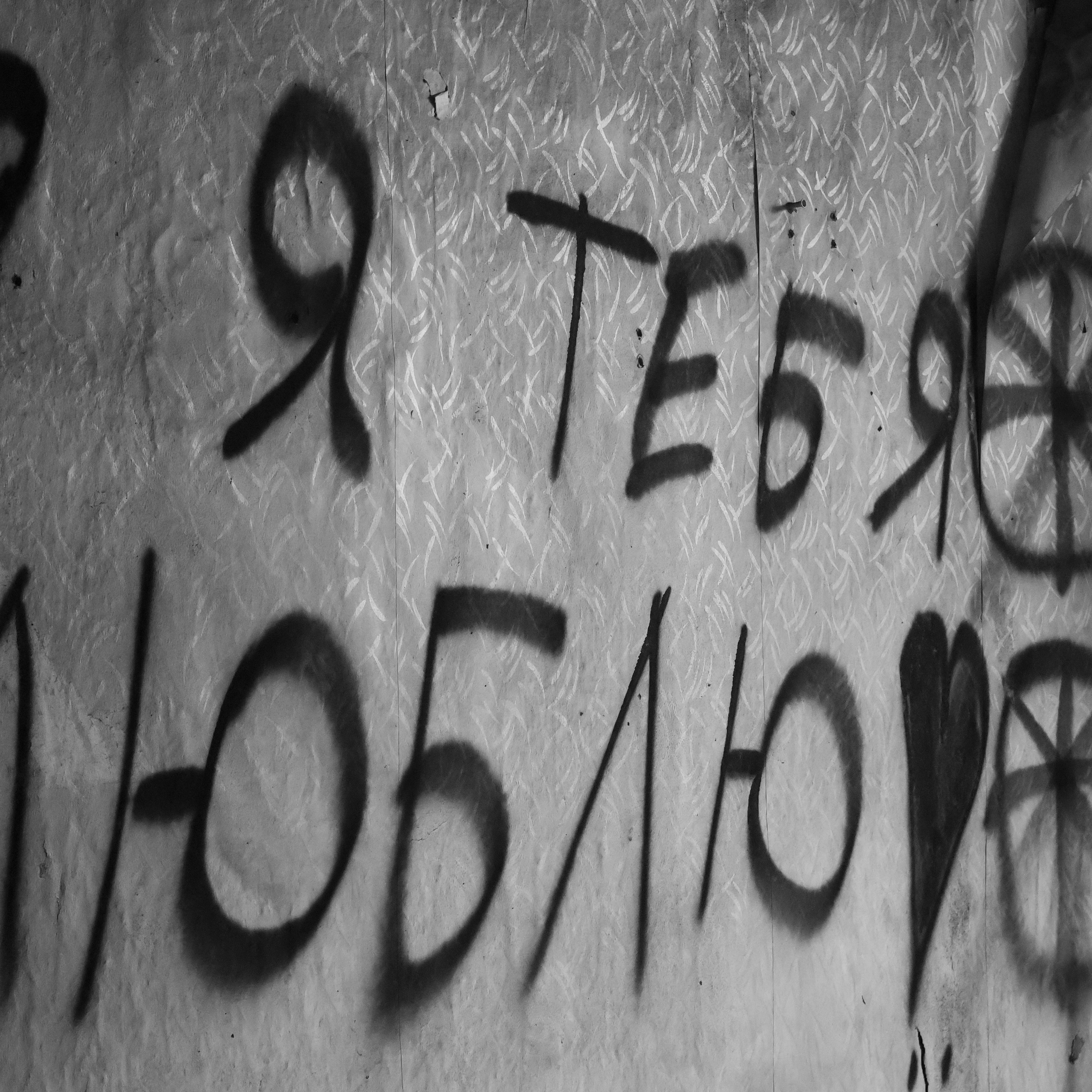 «Рок-зона ". Фотограф АНАСТАСИЯ ПЛАТОВА