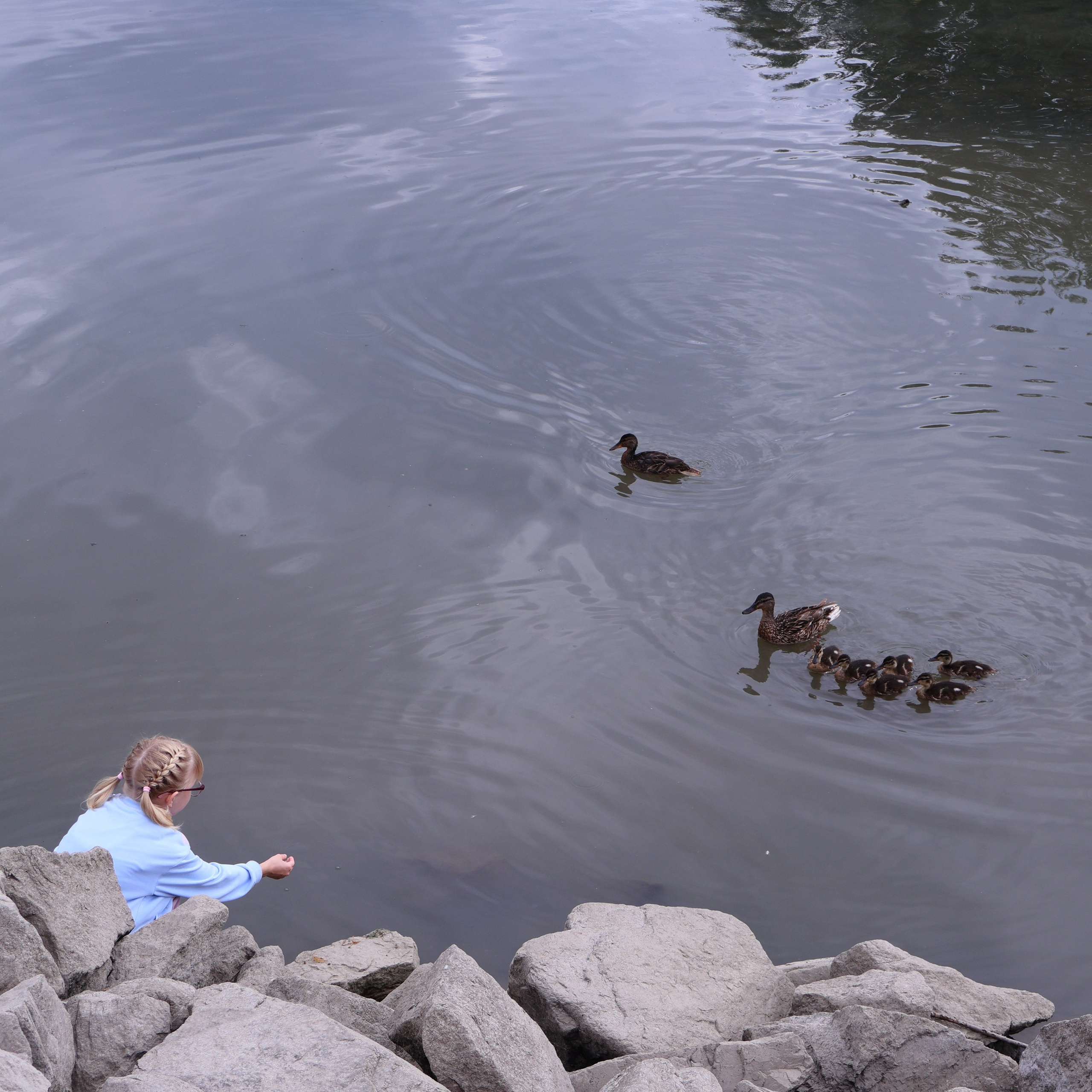 «Моя девочка». Фотограф АНАСТАСИЯ ПЛАТОВА