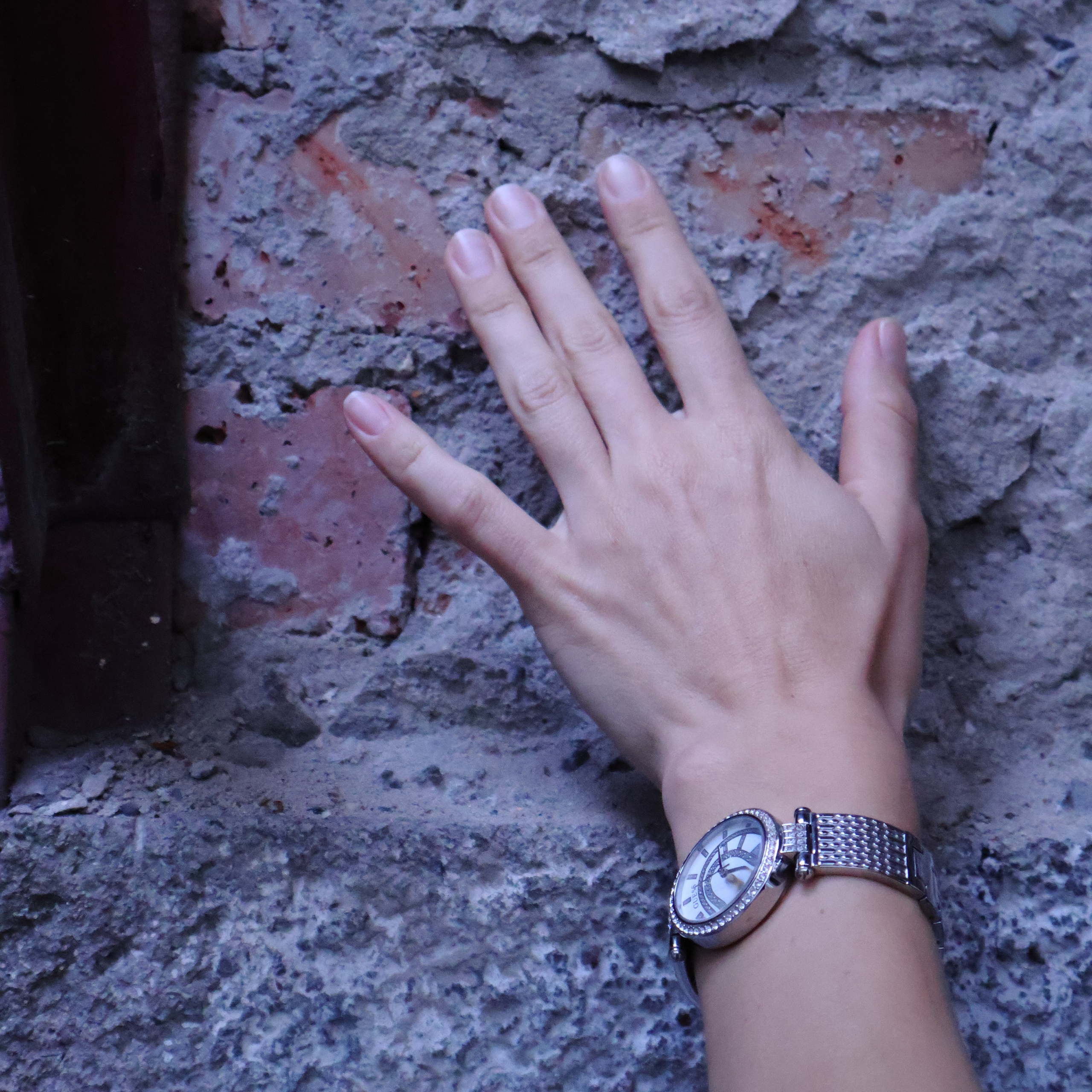 Стальное сердце в бетонных джунглях. Фотограф АНАСТАСИЯ ПЛАТОВА