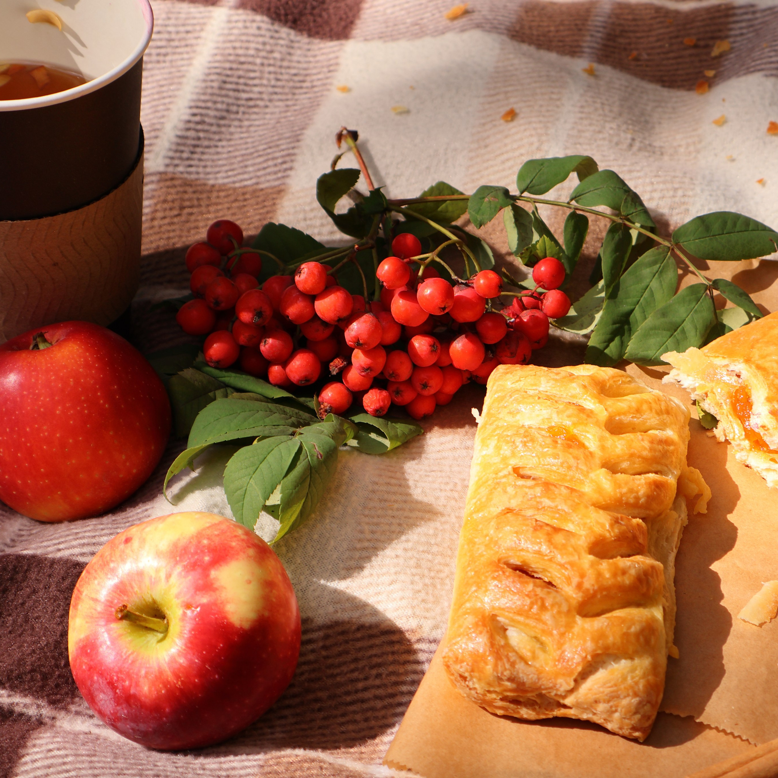 Осенний пикник мамы и дочери. Фотограф АНАСТАСИЯ ПЛАТОВА