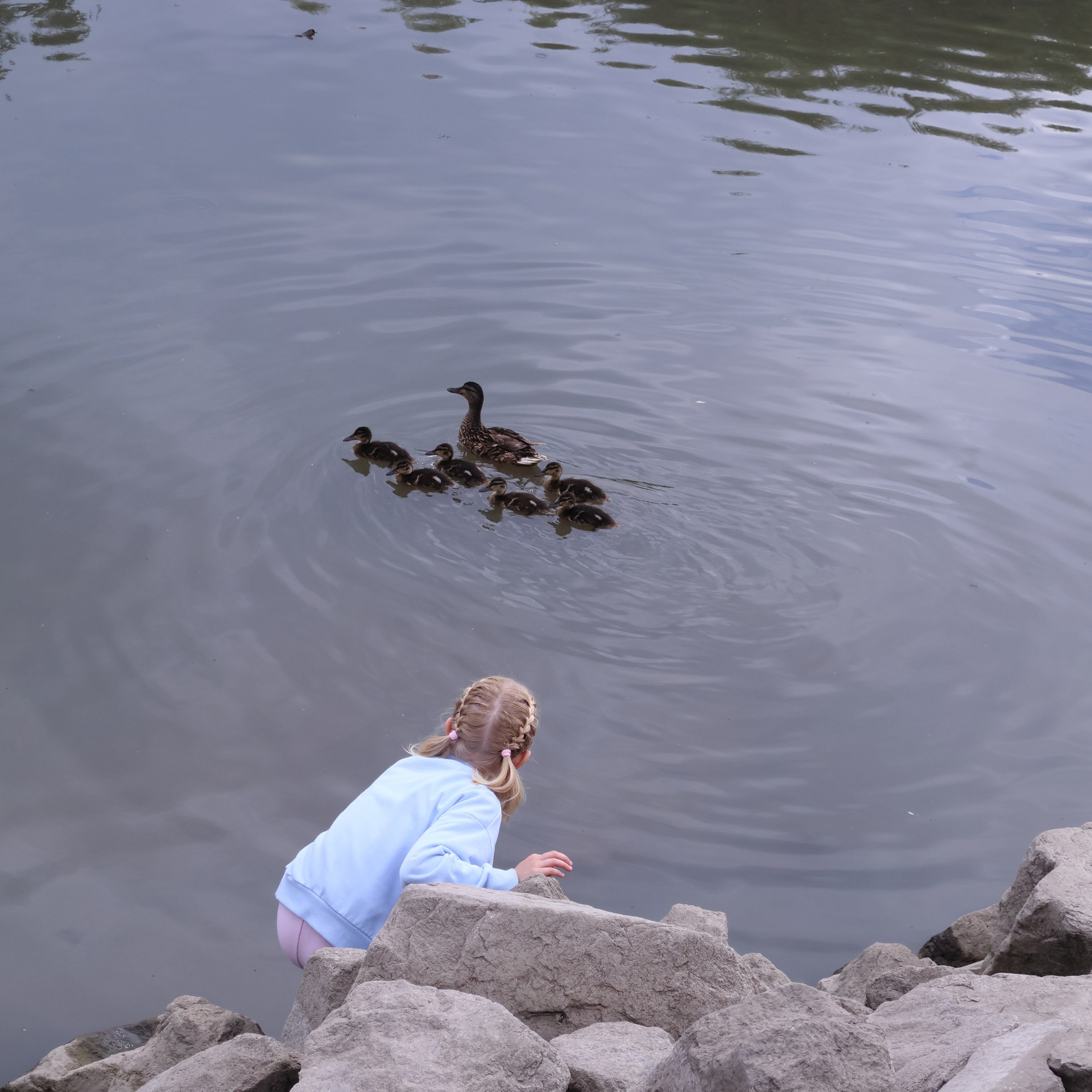 «Моя девочка». Фотограф АНАСТАСИЯ ПЛАТОВА
