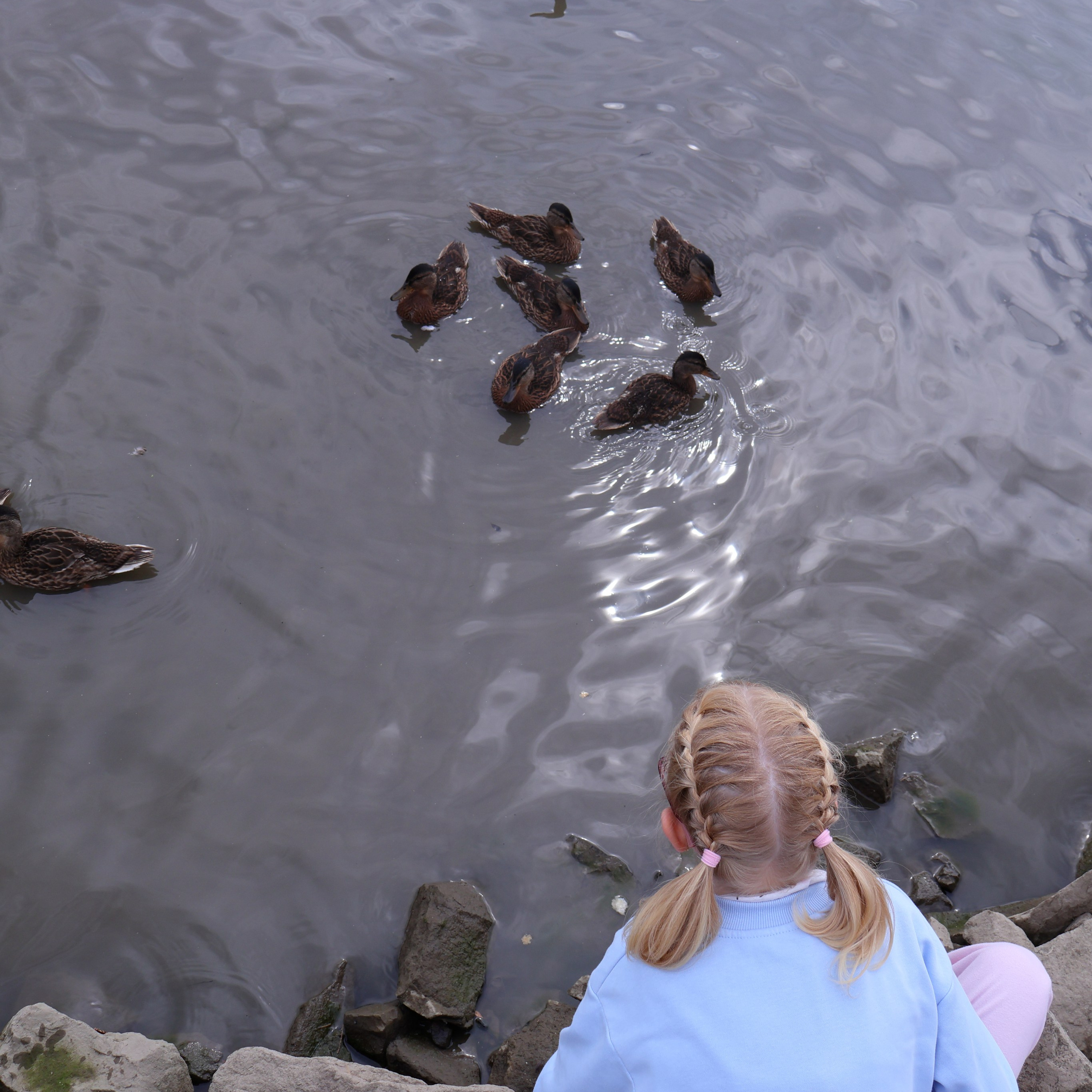 «Моя девочка». Фотограф АНАСТАСИЯ ПЛАТОВА