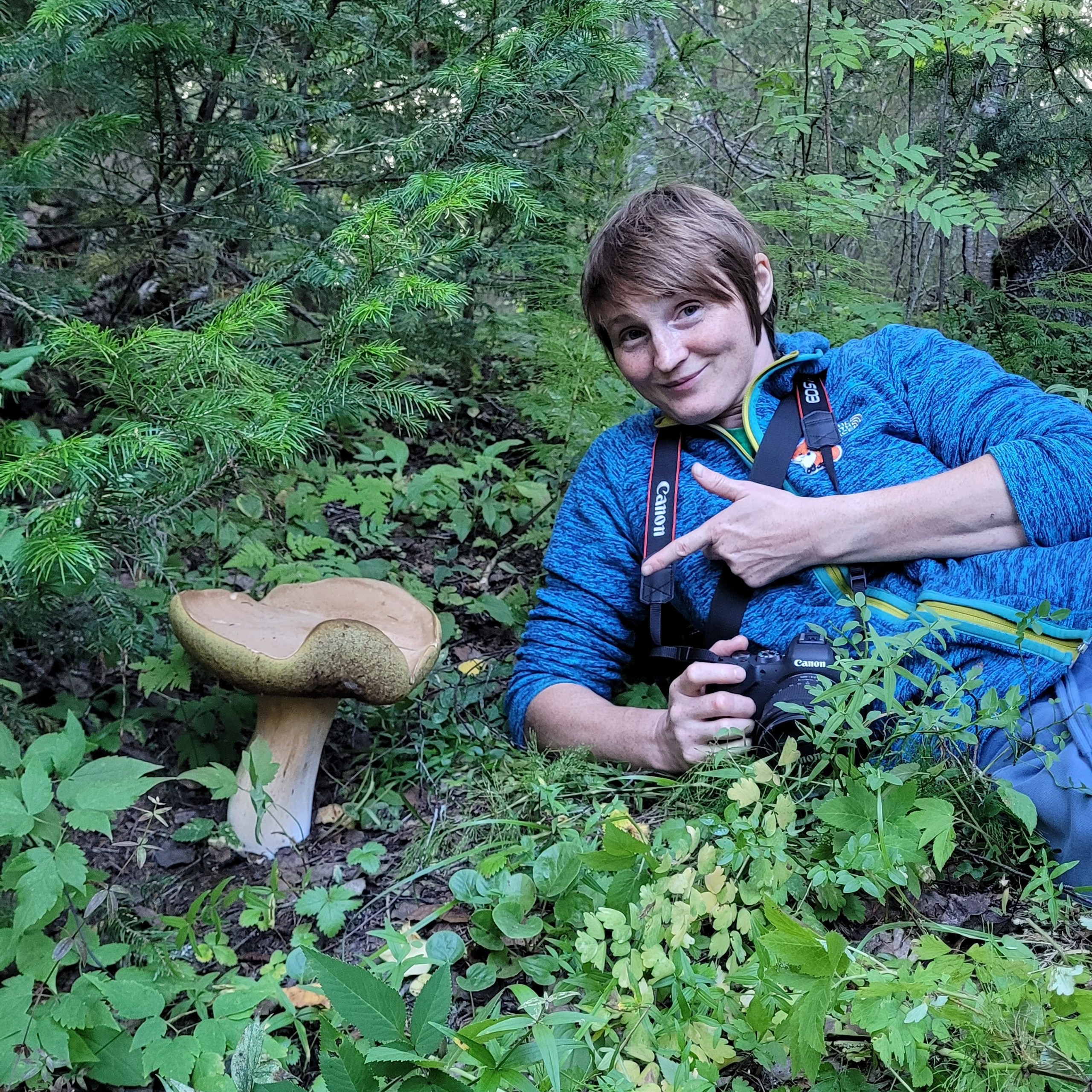 Зеленое море национального парка «Койгородский». Пейзажная и архитектурная фотография в Туле, Татьяна Silva