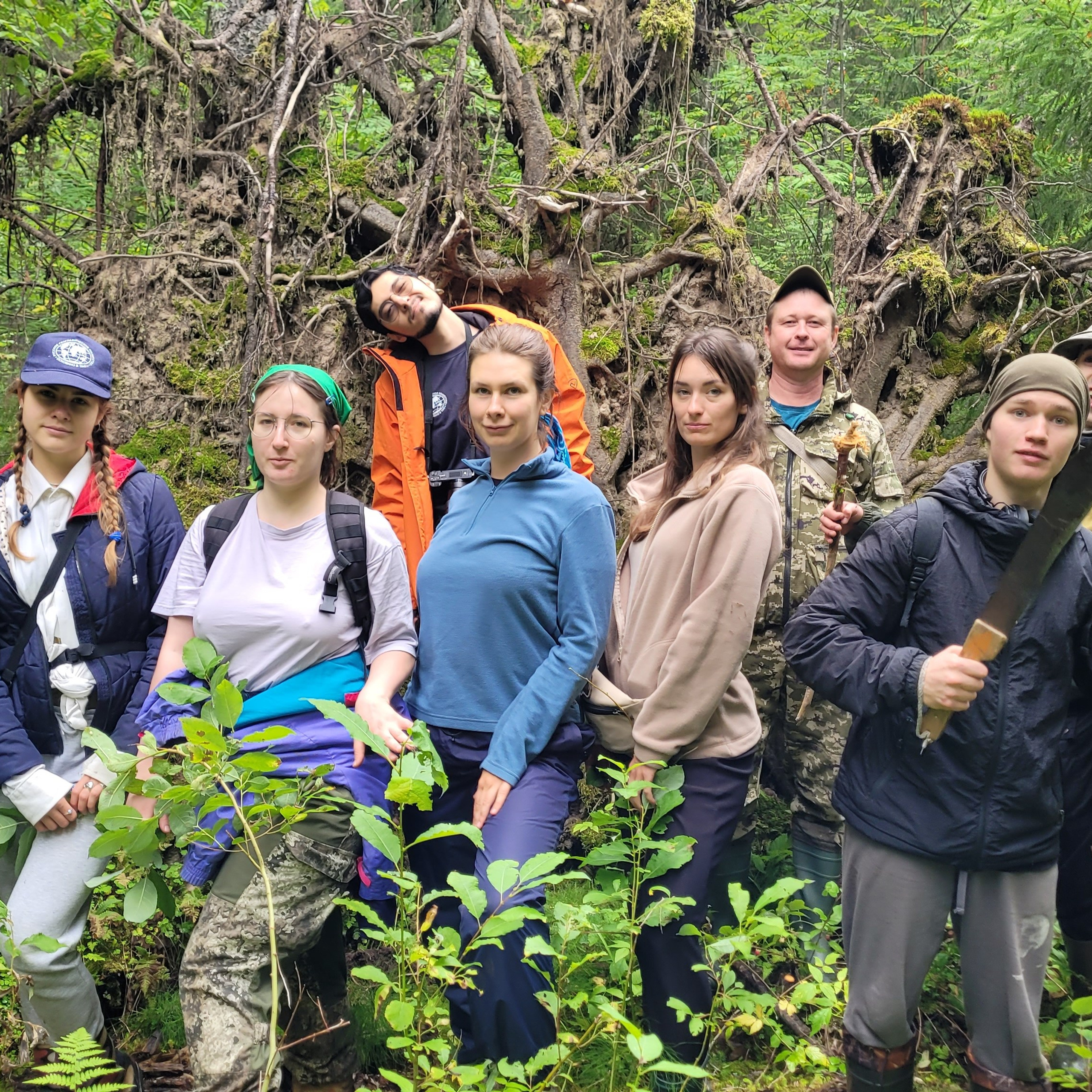 Зеленое море национального парка «Койгородский». Пейзажная и архитектурная фотография в Туле, Татьяна Silva