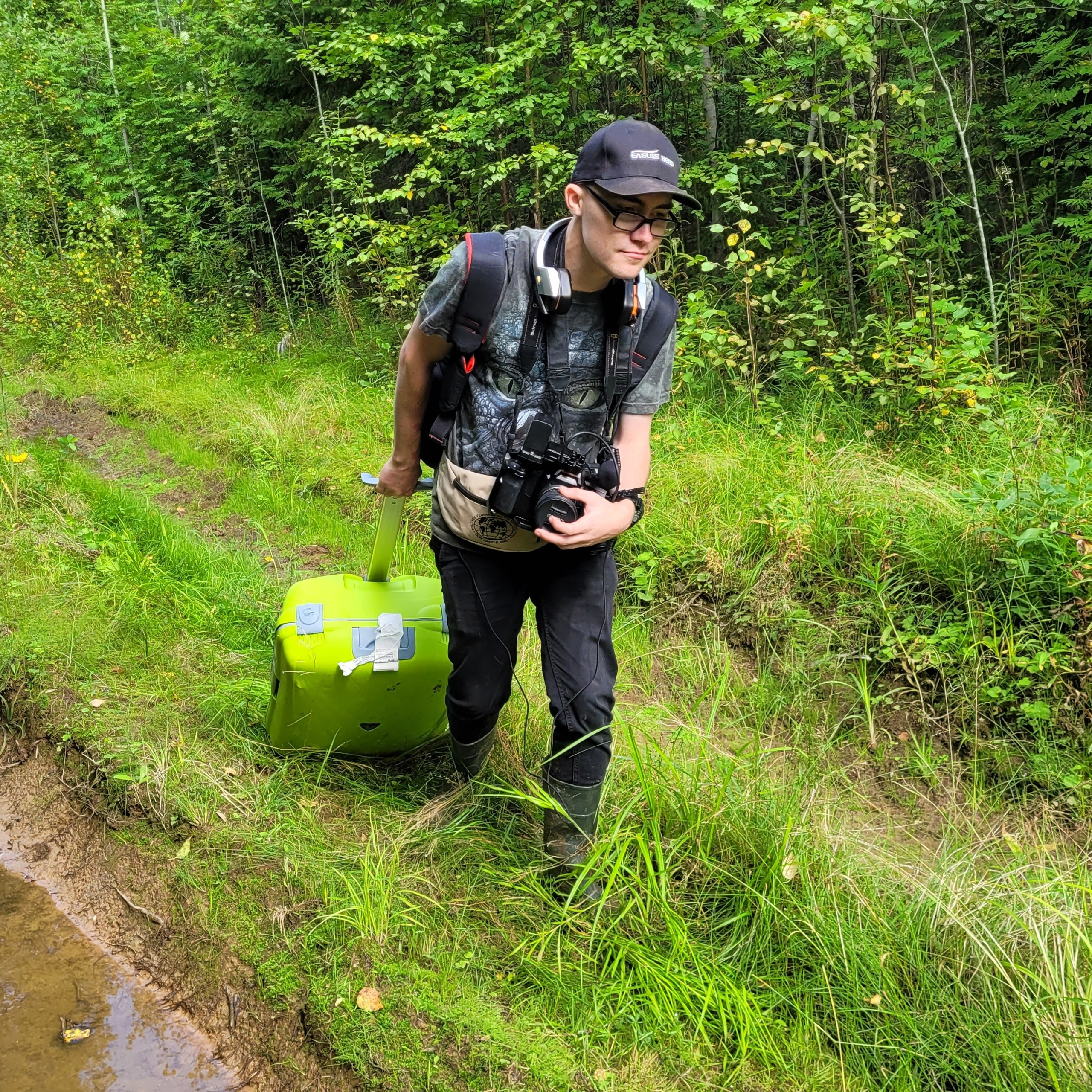 Зеленое море национального парка «Койгородский». Пейзажная и архитектурная фотография в Туле, Татьяна Silva