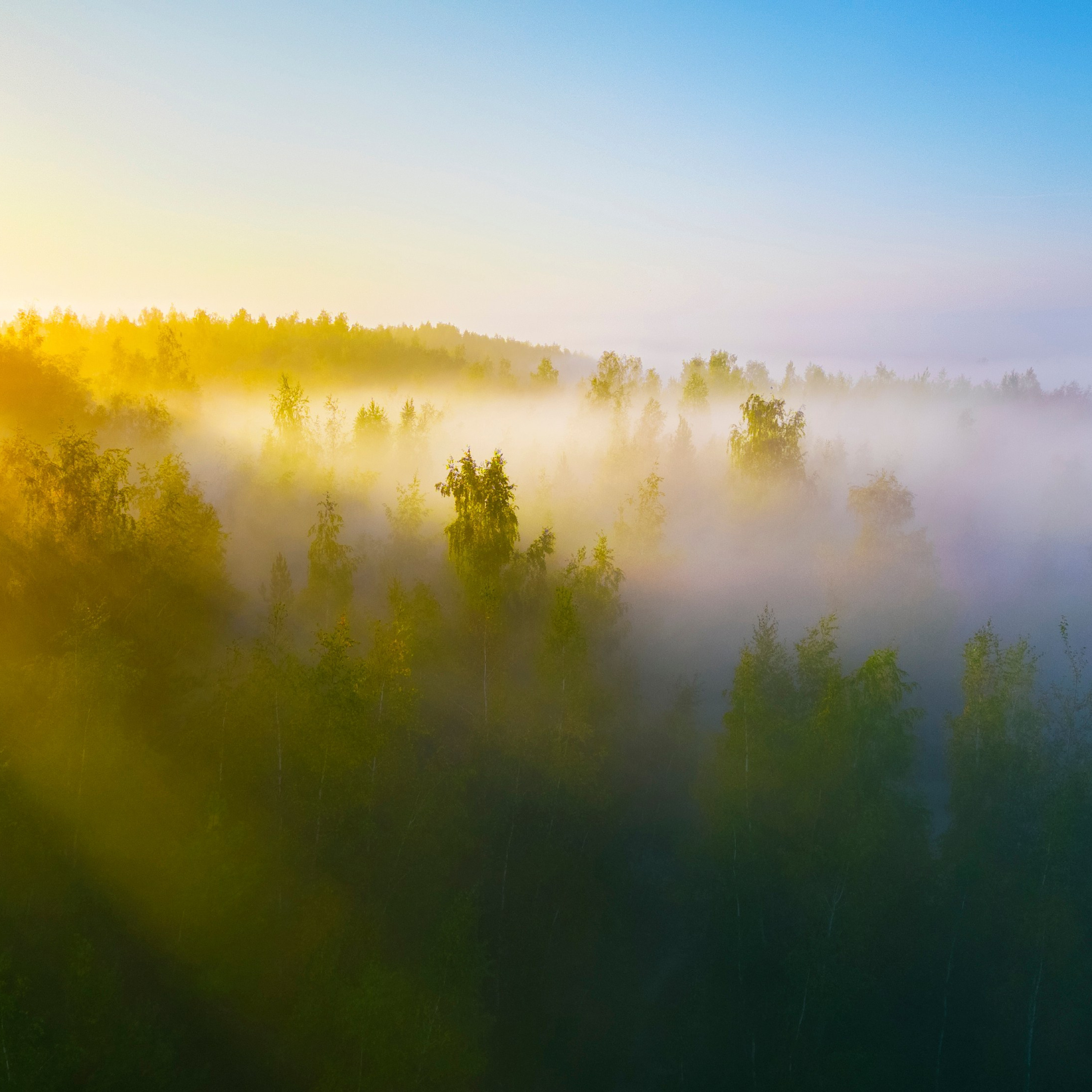 Акварель на Рассвете. Кондуки.