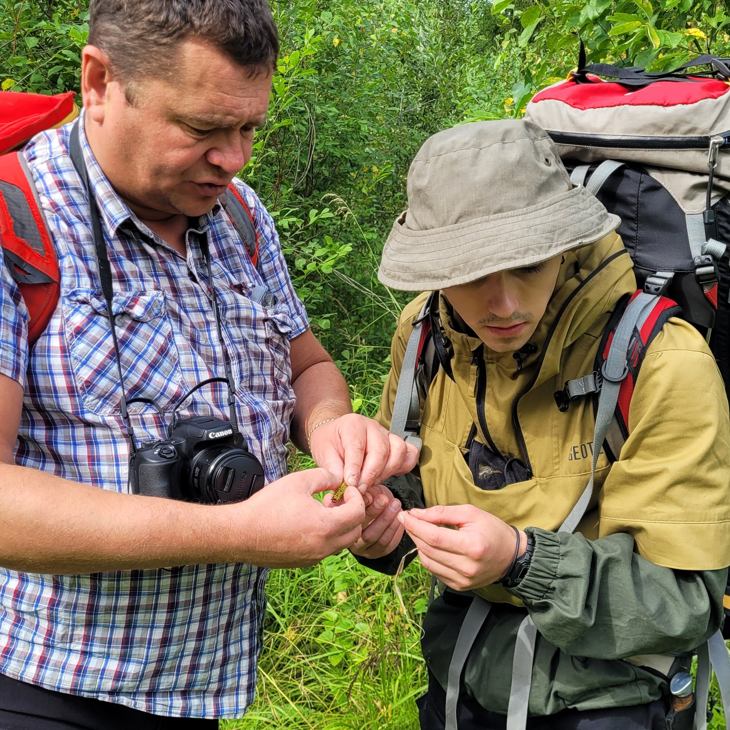 Зеленое море национального парка «Койгородский». Пейзажная и архитектурная фотография в Туле, Татьяна Silva