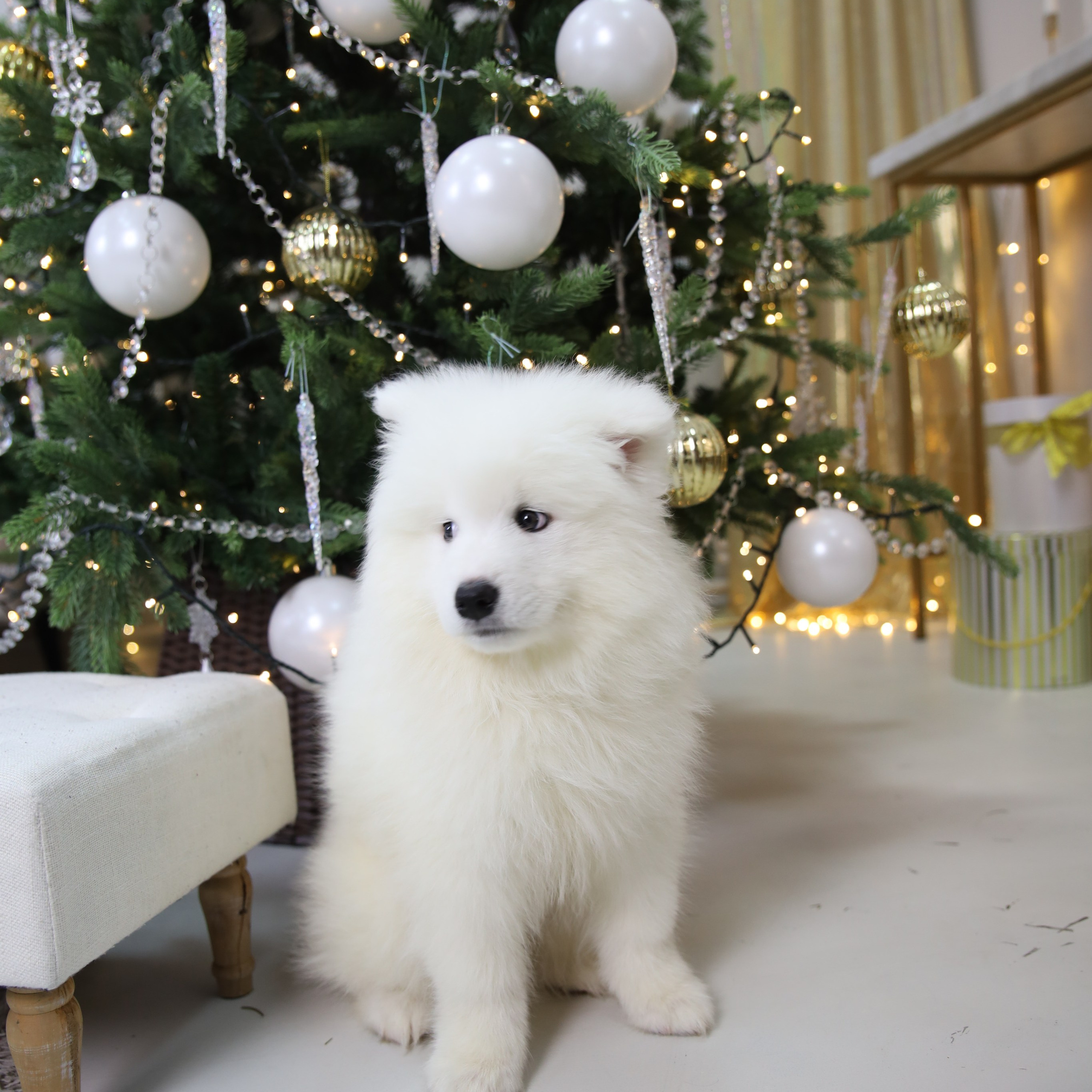 Отзывы. Фотограф Крещения, а также семейный и детский фотограф в Оренбурге