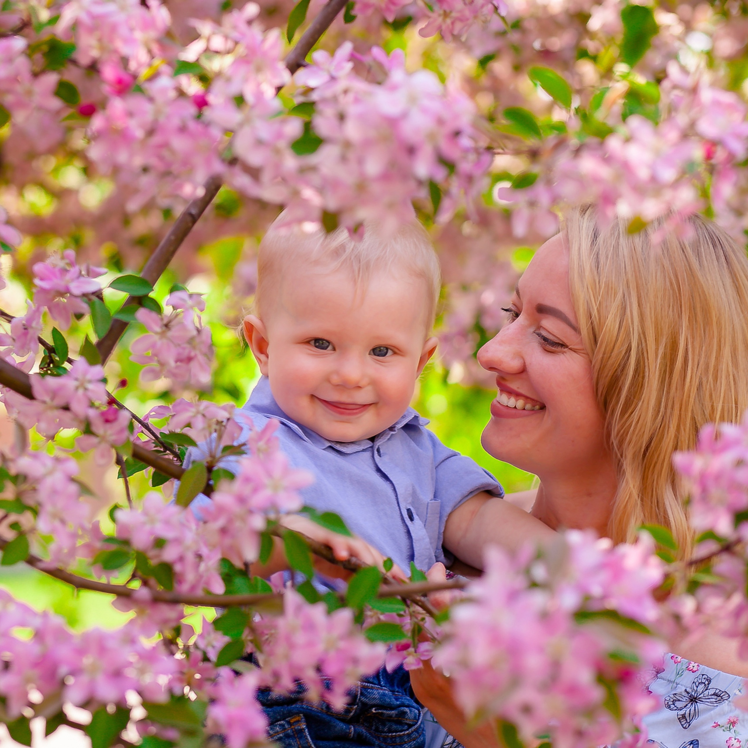 Цветущие сады