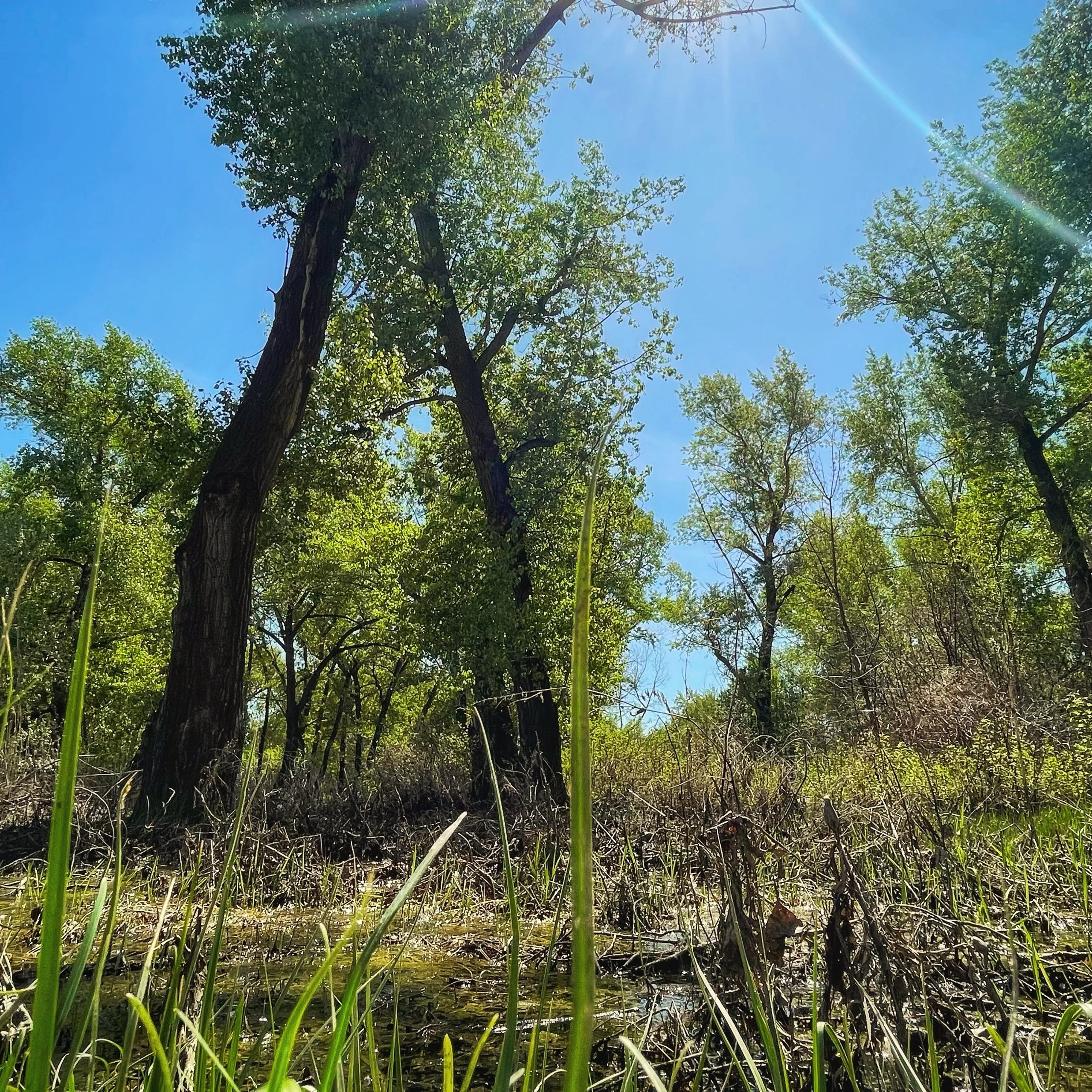 КАК УВИДЕТЬ ФОТОГРАФИЮ ТАМ, ГДЕ ЕЁ «НЕ МОЖЕТ БЫТЬ». Фотография в неожиданных местах: от повседневных объектов до абстракций. Детский и семейный фотограф в Павлодаре Оксана Солей. Школа моделей