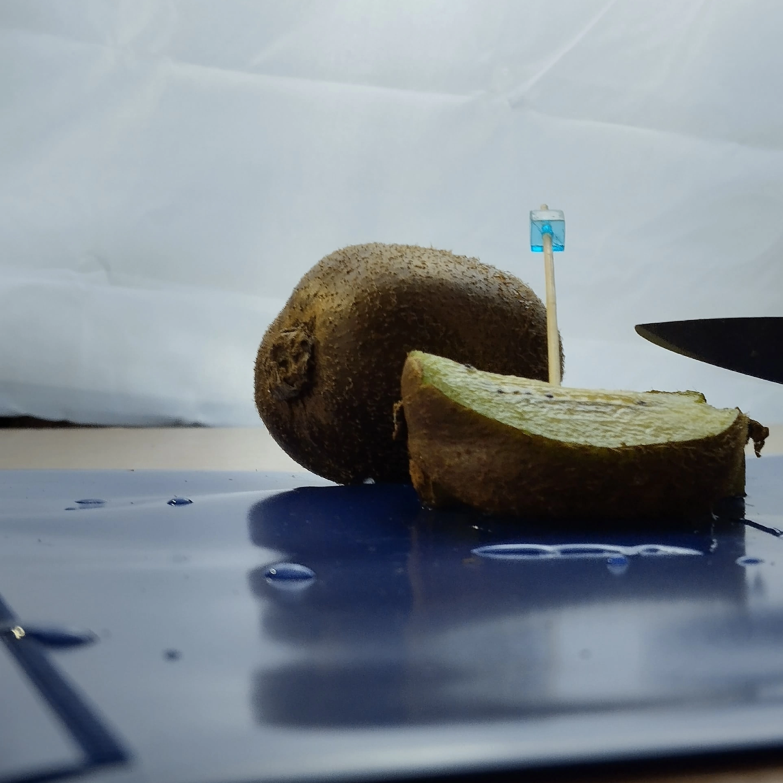 Мастер-класс на Алтае. Детский и семейный фотограф в Павлодаре Оксана Солей. Школа моделей