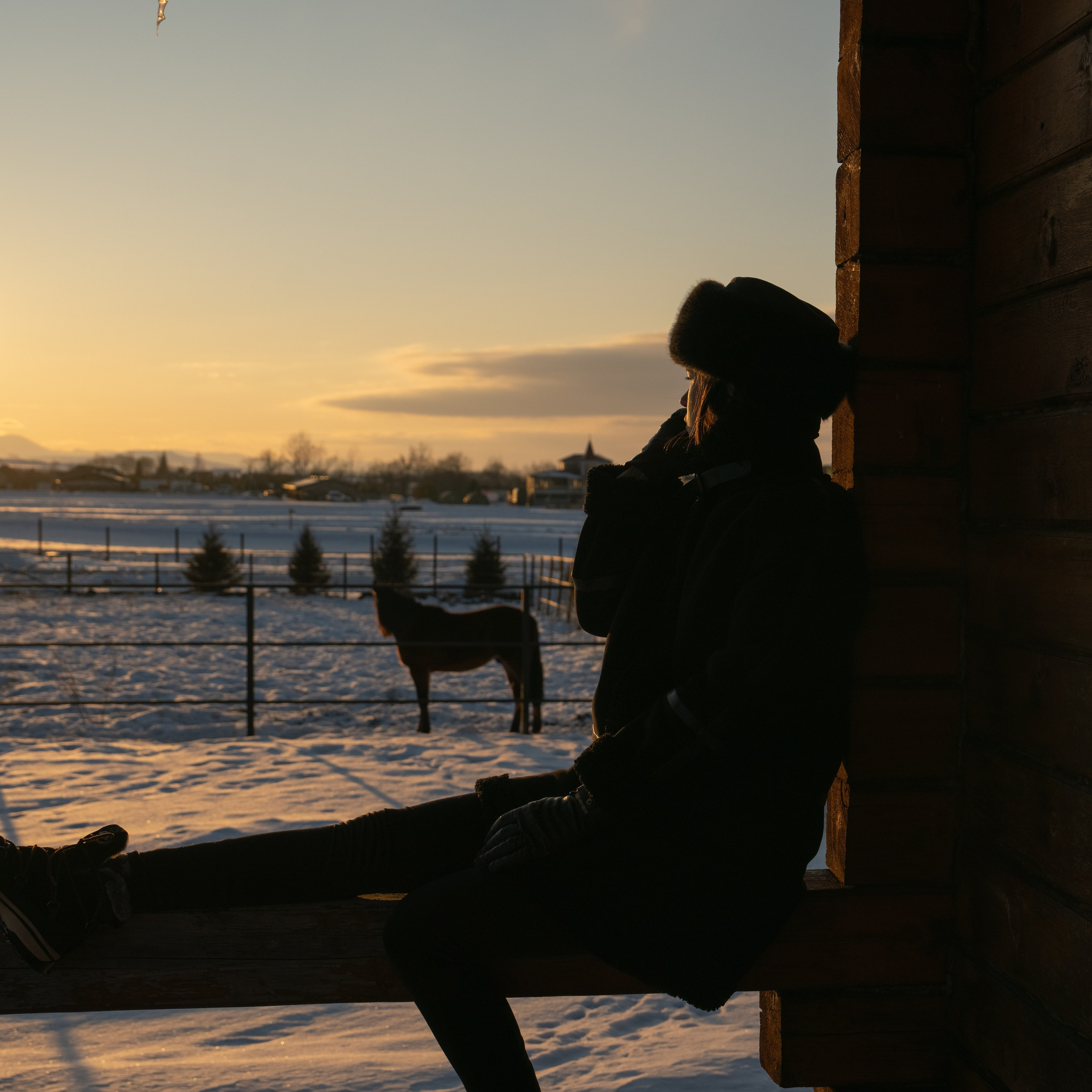 Фотосессия с лошадьми в Белокурихе (Новотырышкино). Главная