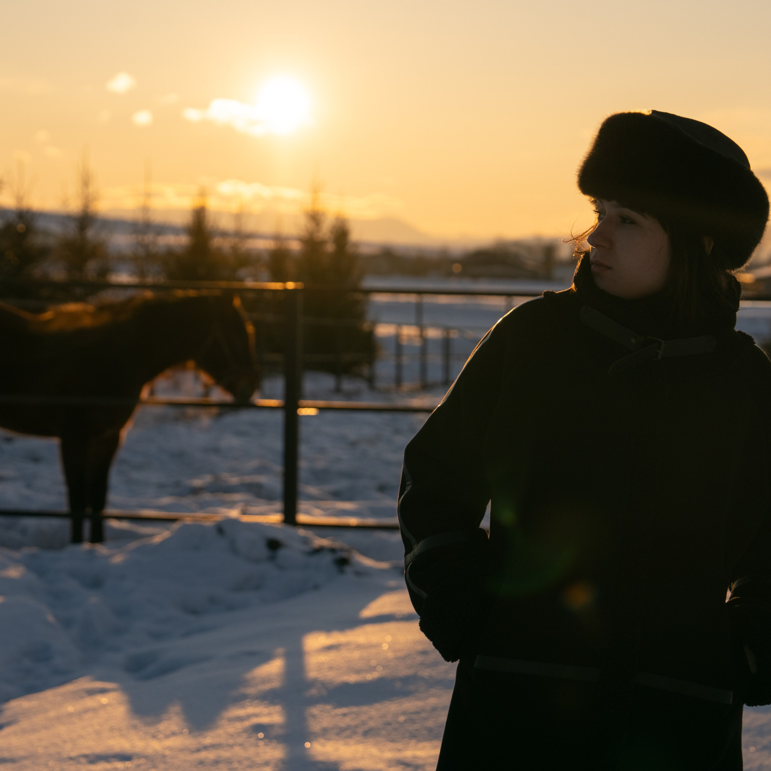 Фотосессия с лошадьми в Белокурихе (Новотырышкино). Главная