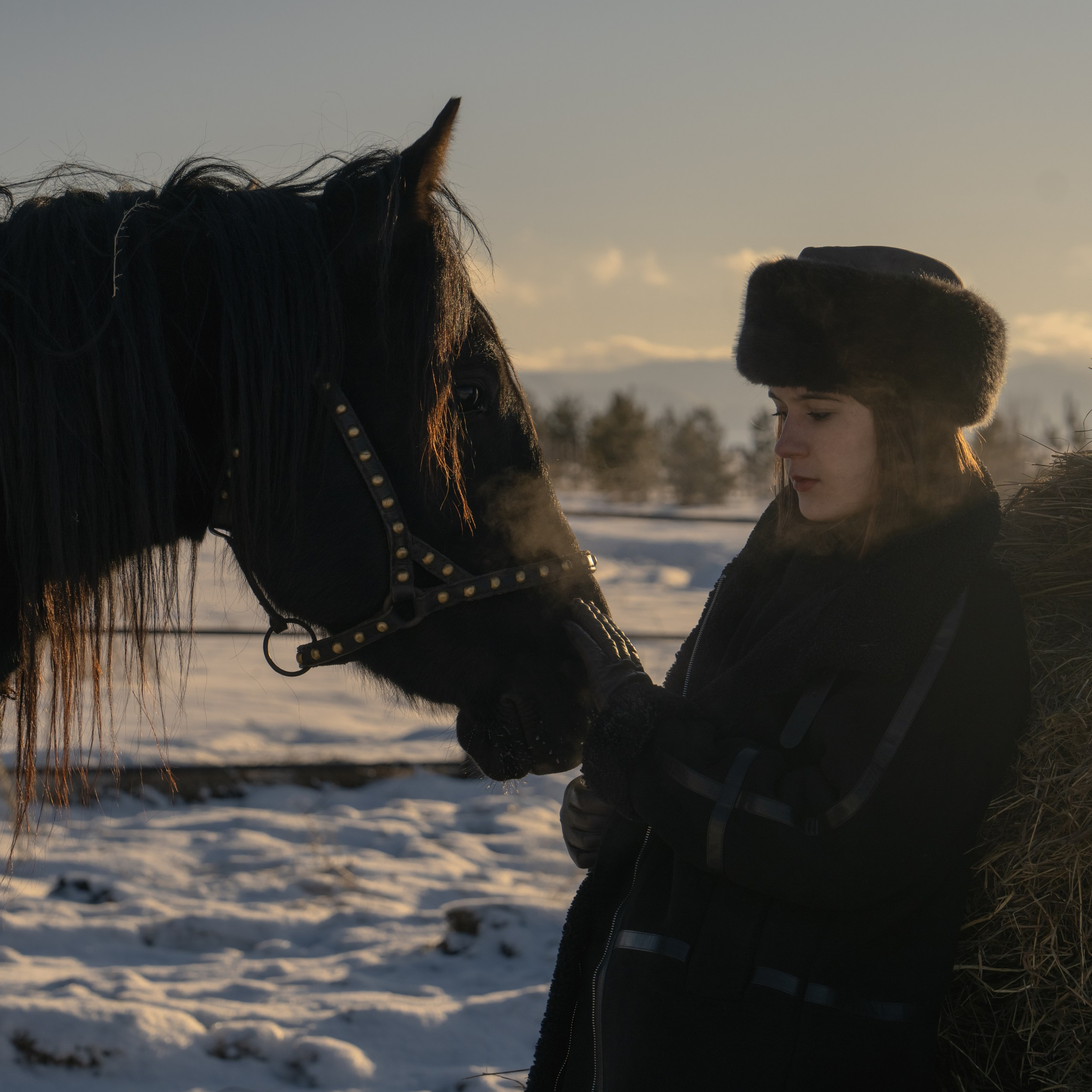 Фотосессия с лошадьми в Белокурихе (Новотырышкино). Главная