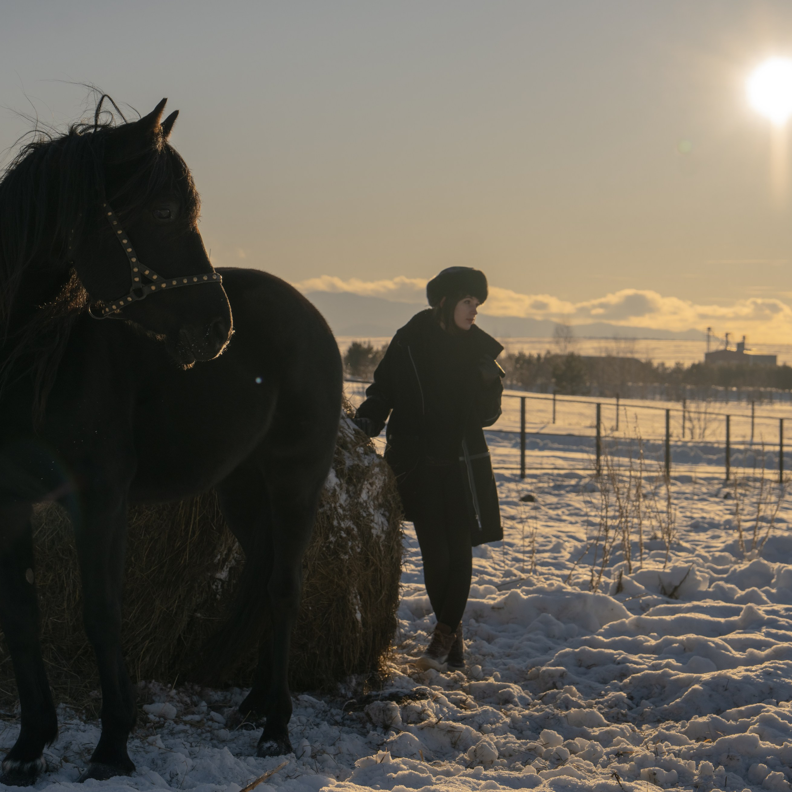 Фотосессия с лошадьми в Белокурихе (Новотырышкино). Главная