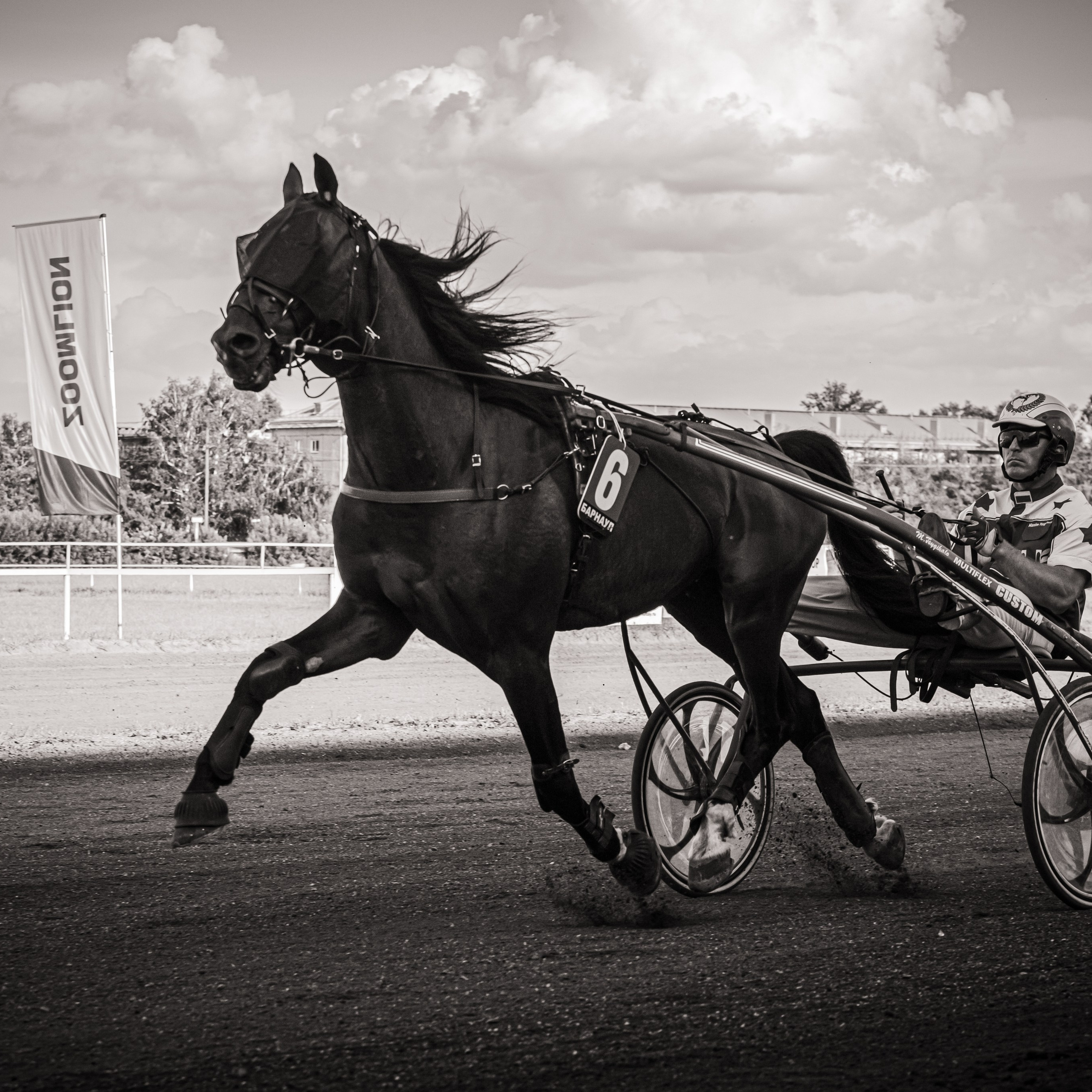 Рысистые бега