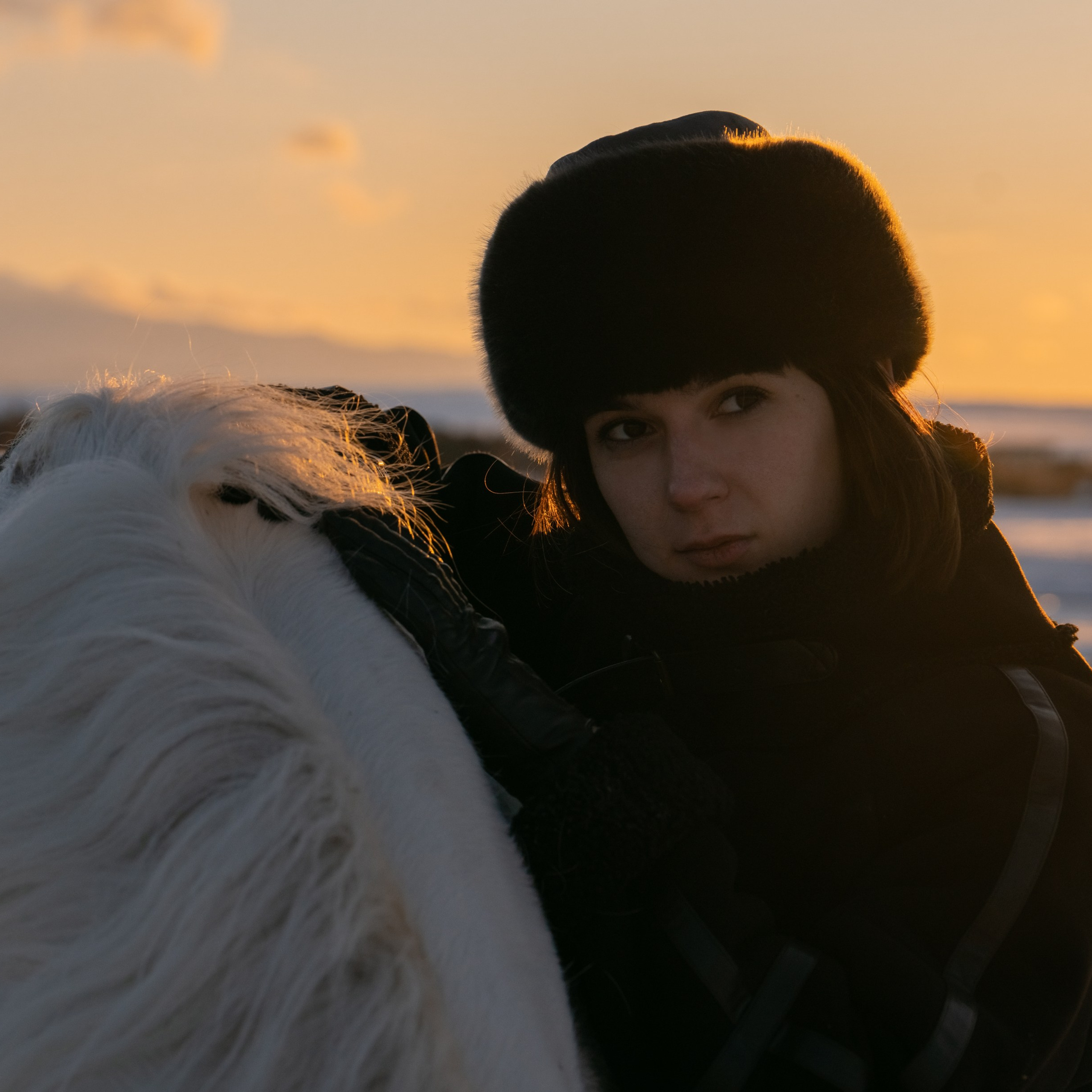 Фотосессия с лошадьми в Белокурихе (Новотырышкино). Главная