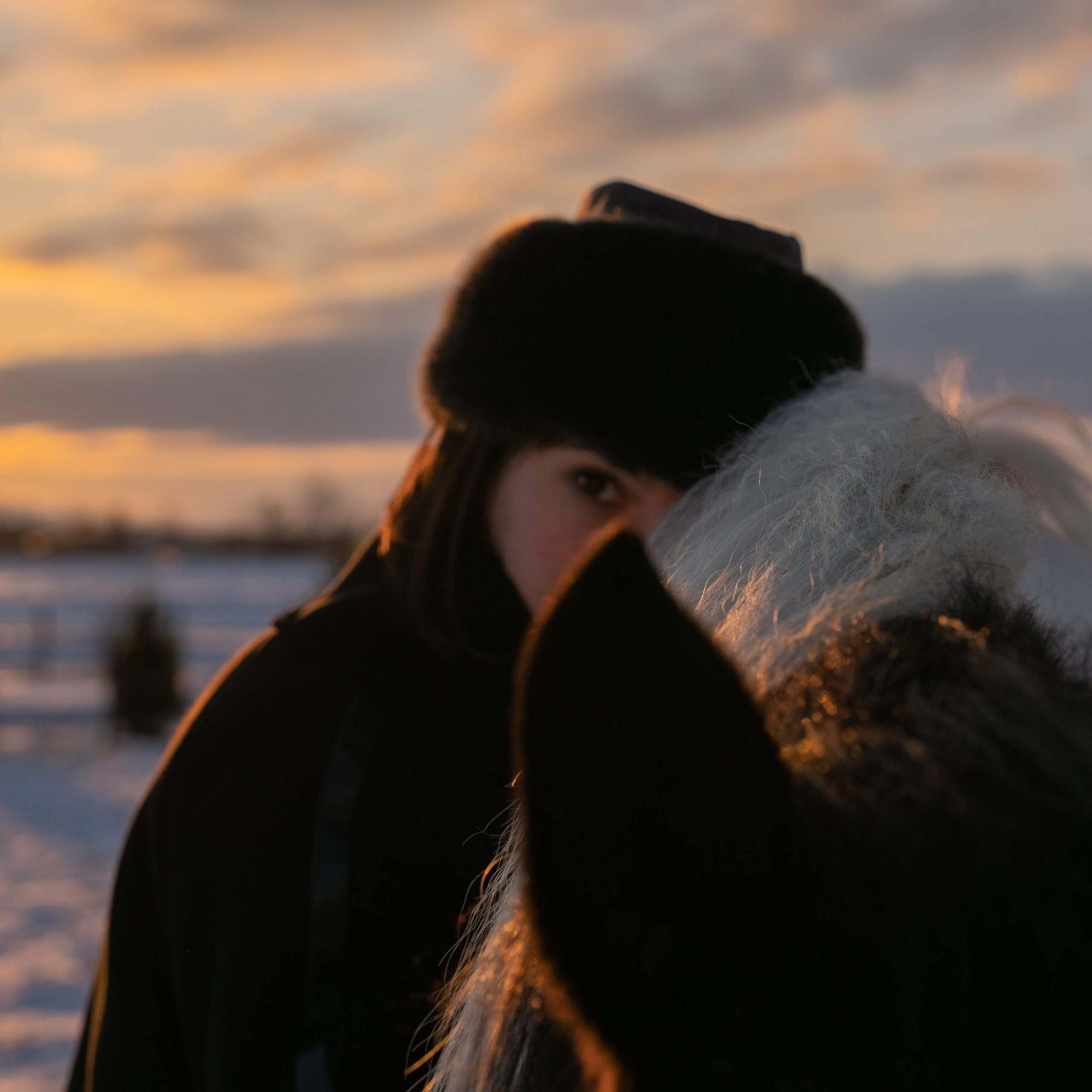 Фотосессия с лошадьми в Белокурихе (Новотырышкино). Главная