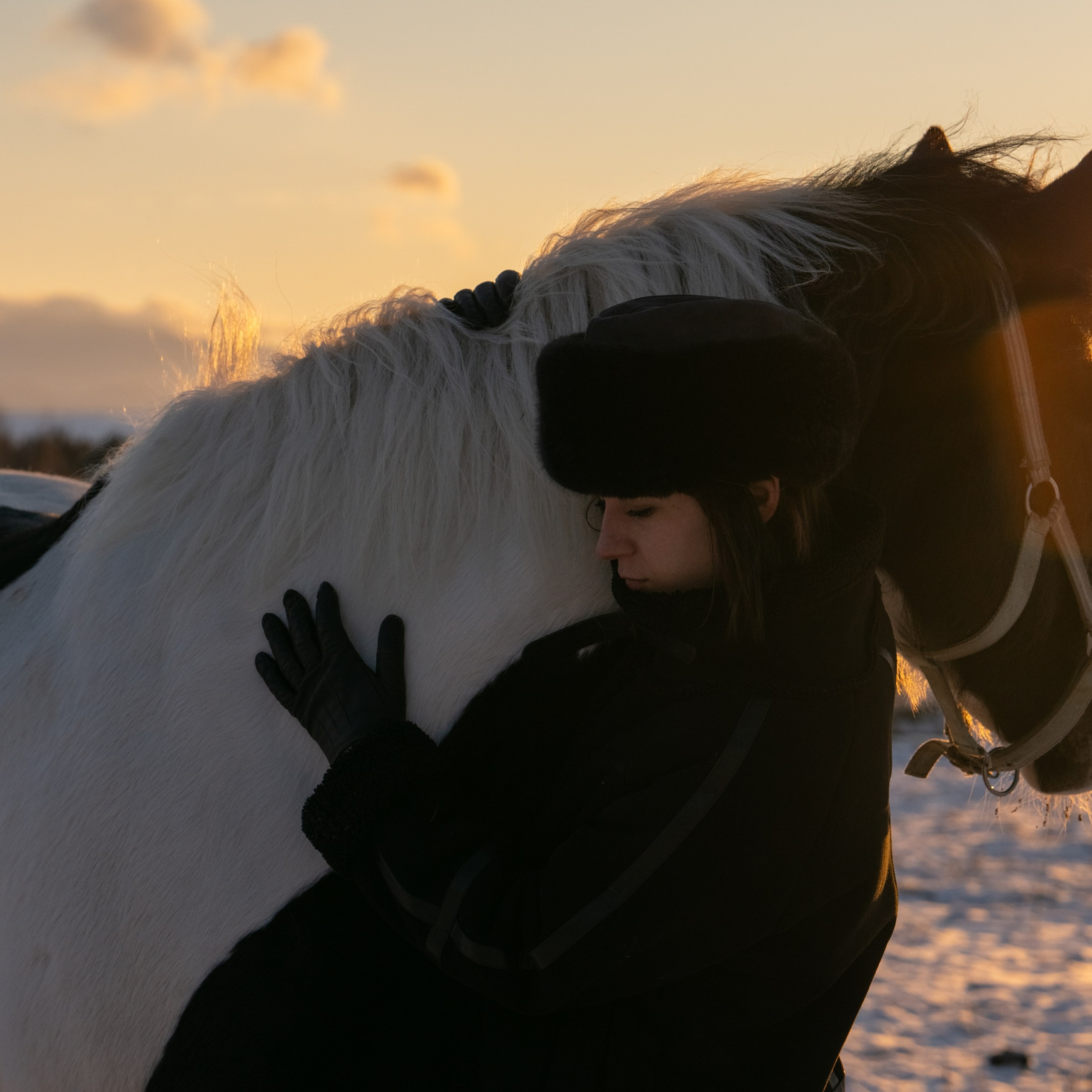 Фотосессия с лошадьми в Белокурихе (Новотырышкино). Главная