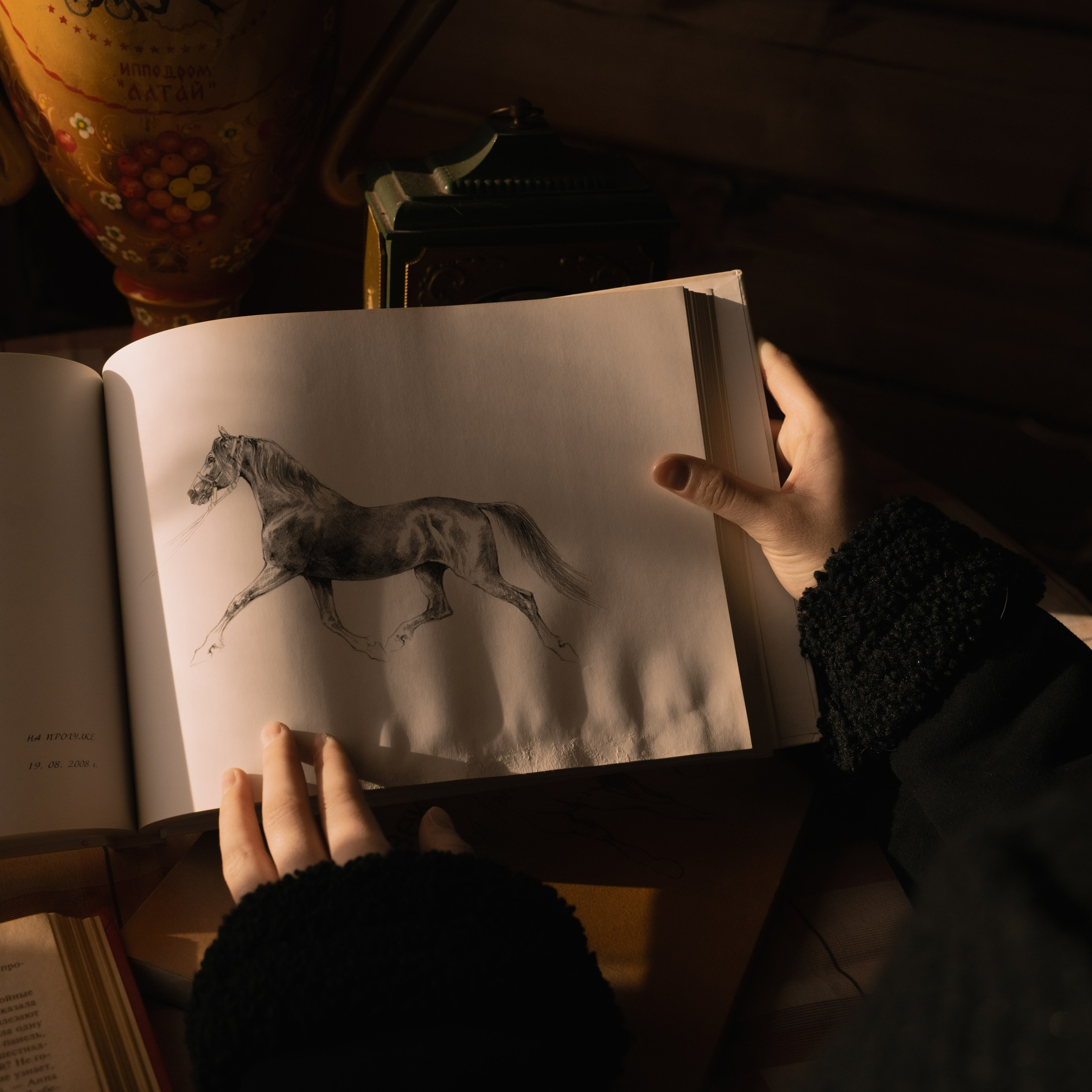 Фотосессия с лошадьми в Белокурихе (Новотырышкино). Главная