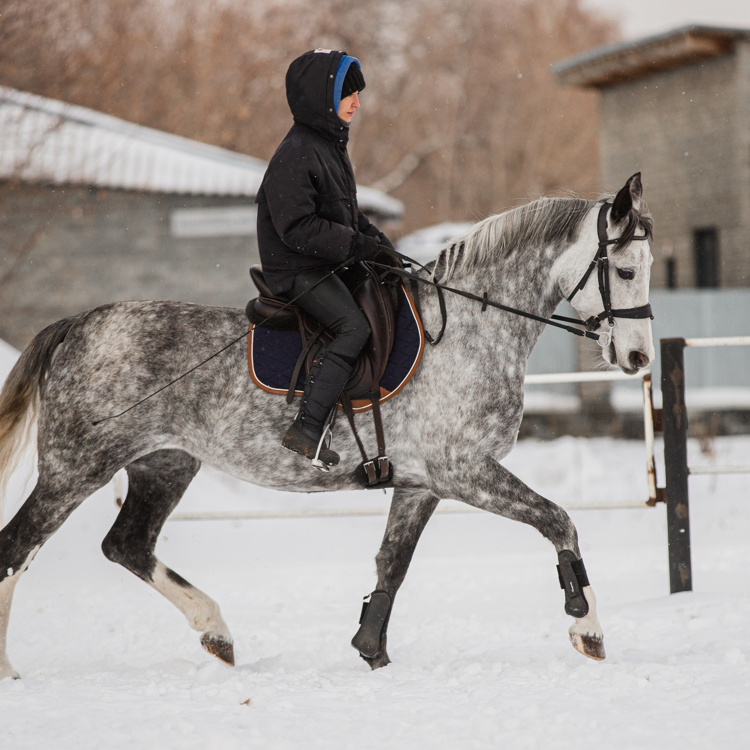 Для конников