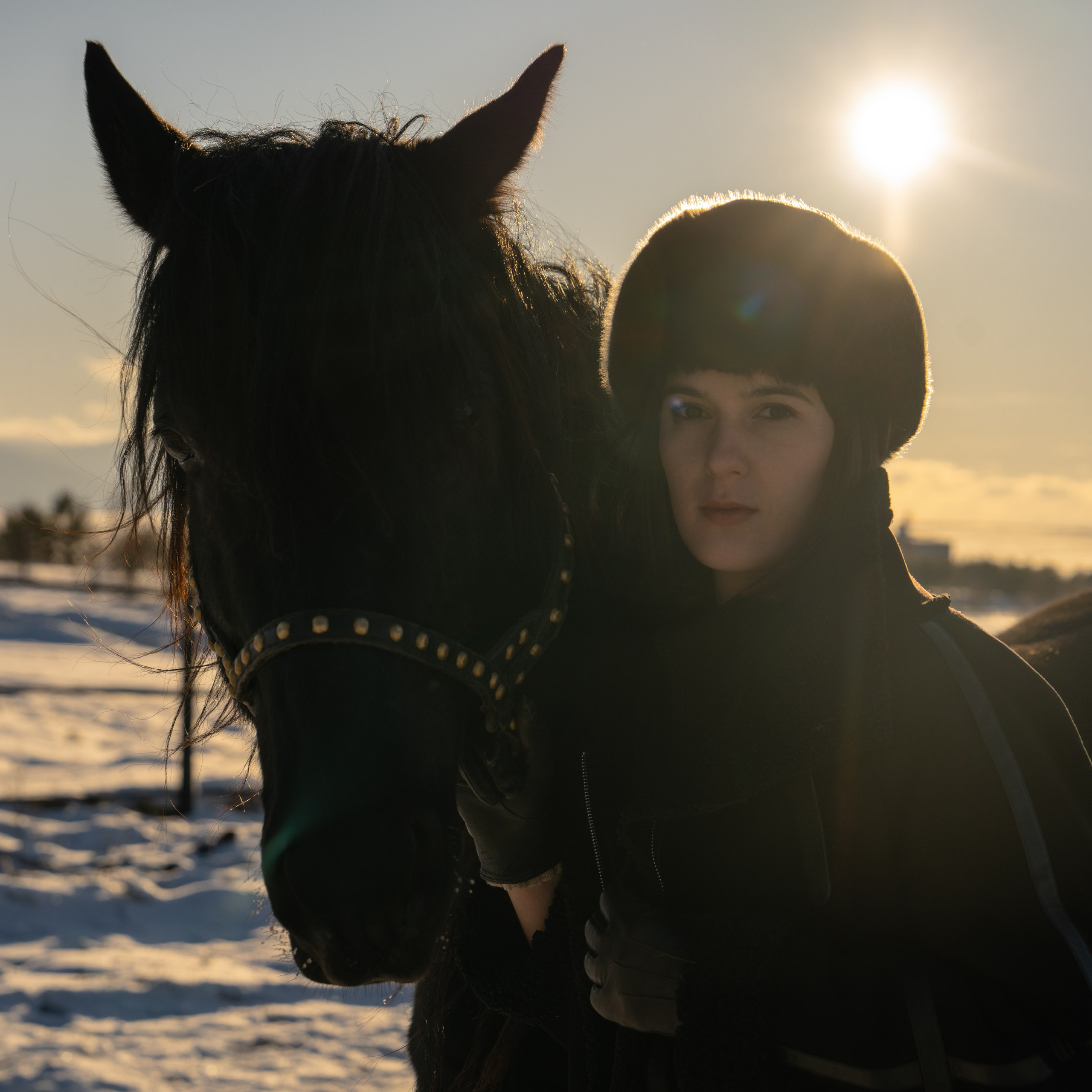 Фотосессия с лошадьми в Белокурихе (Новотырышкино). Главная