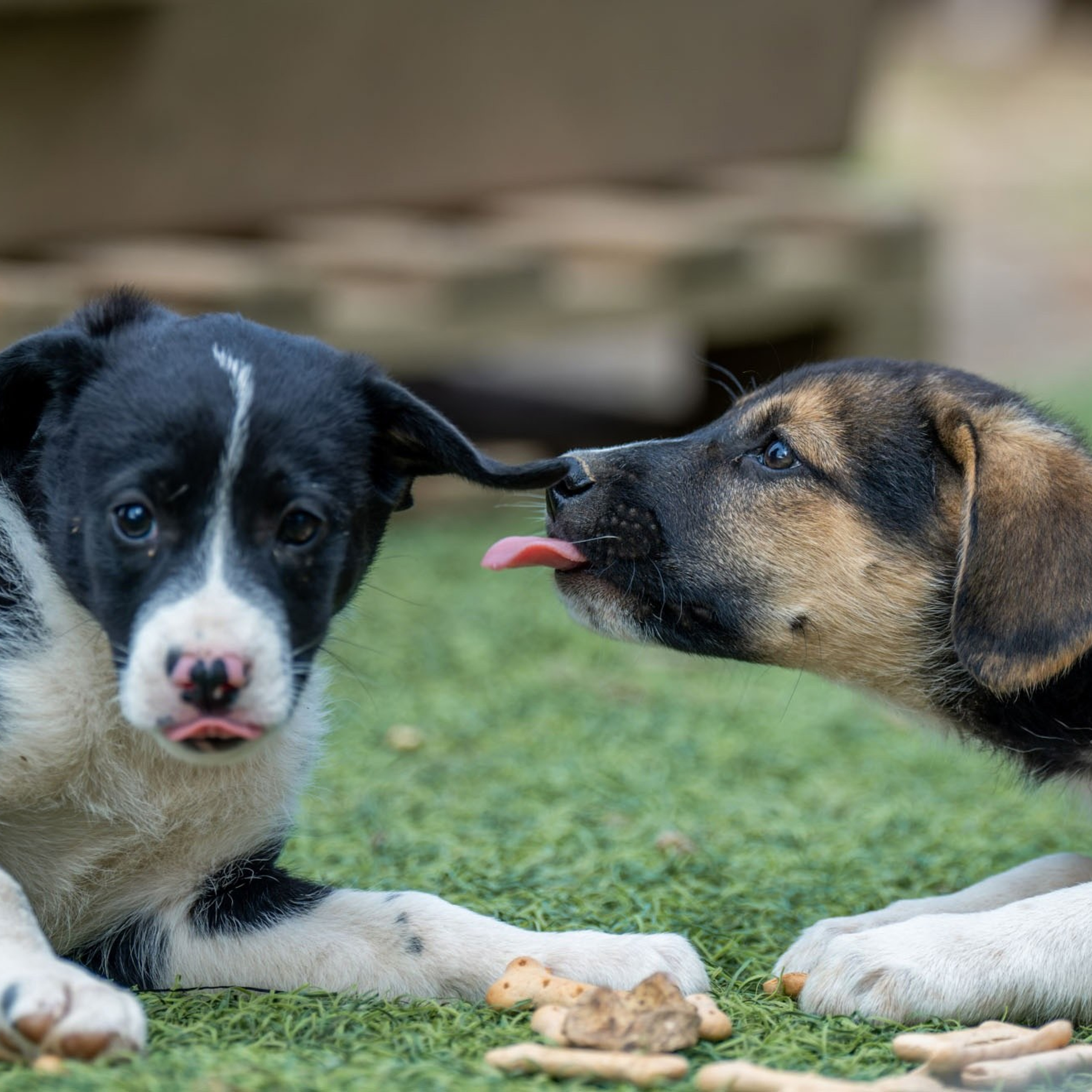 Отзывы. Константин Дем | Фотограф