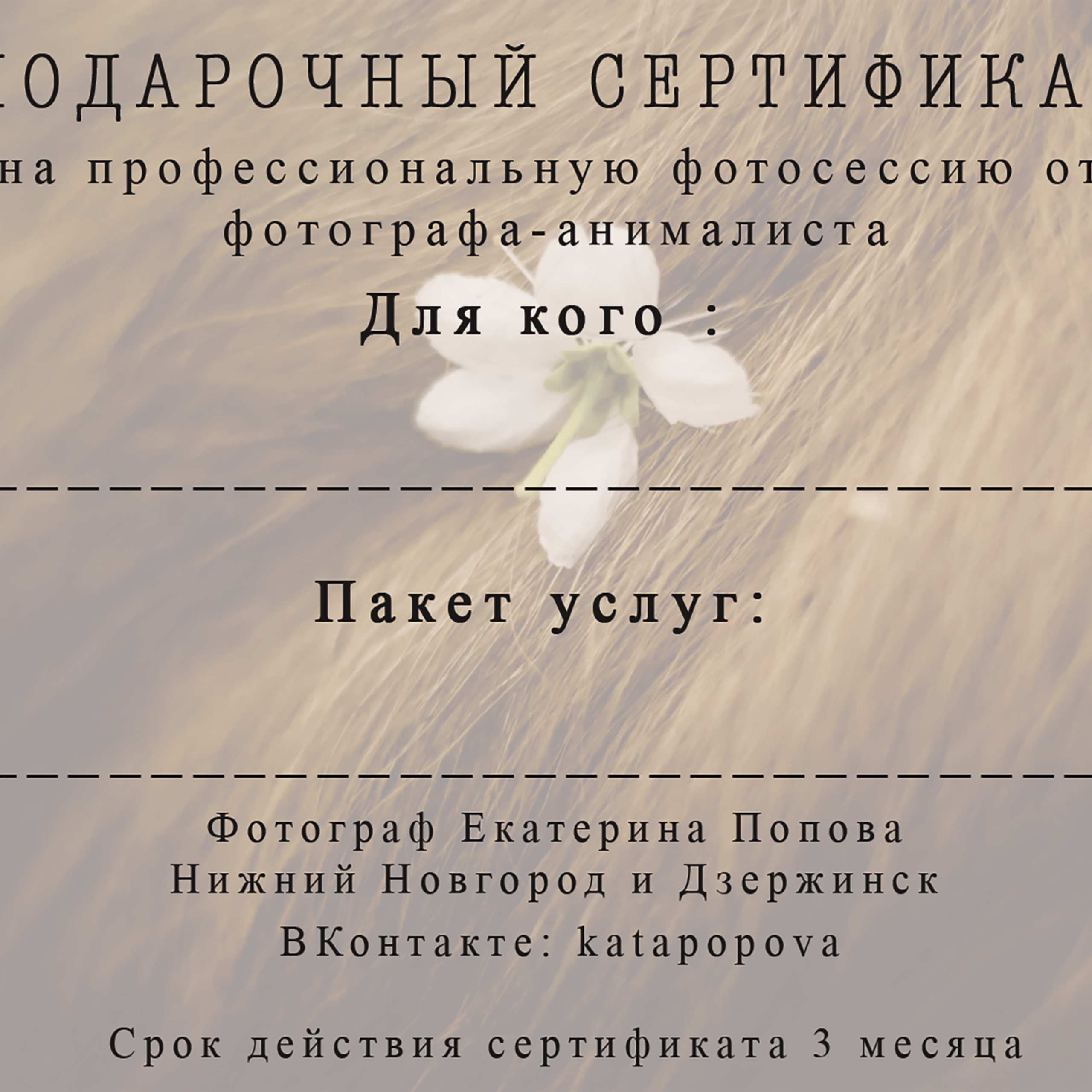 Подарочный сертификат