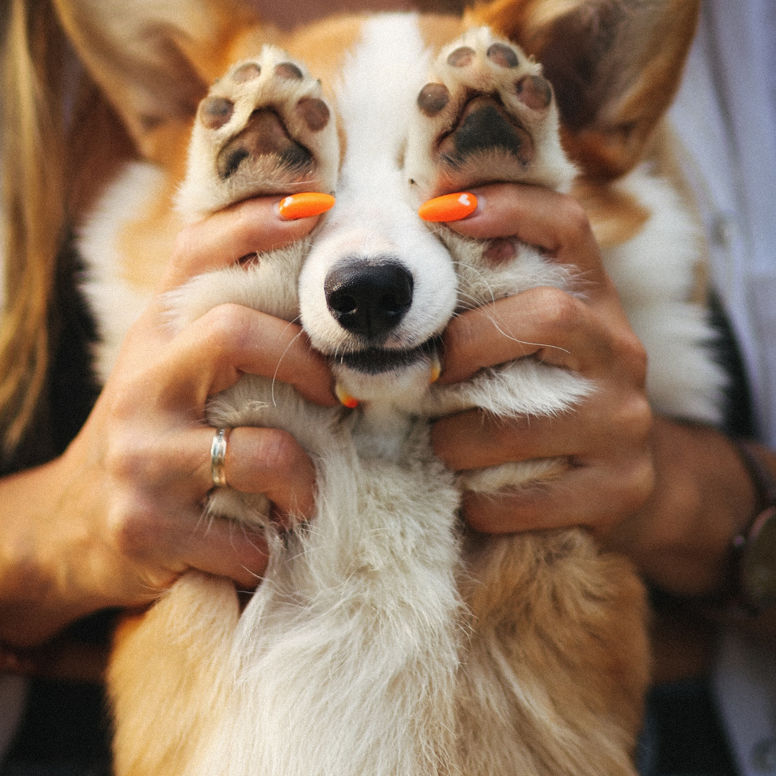 Летняя прогулка с лучшим другом