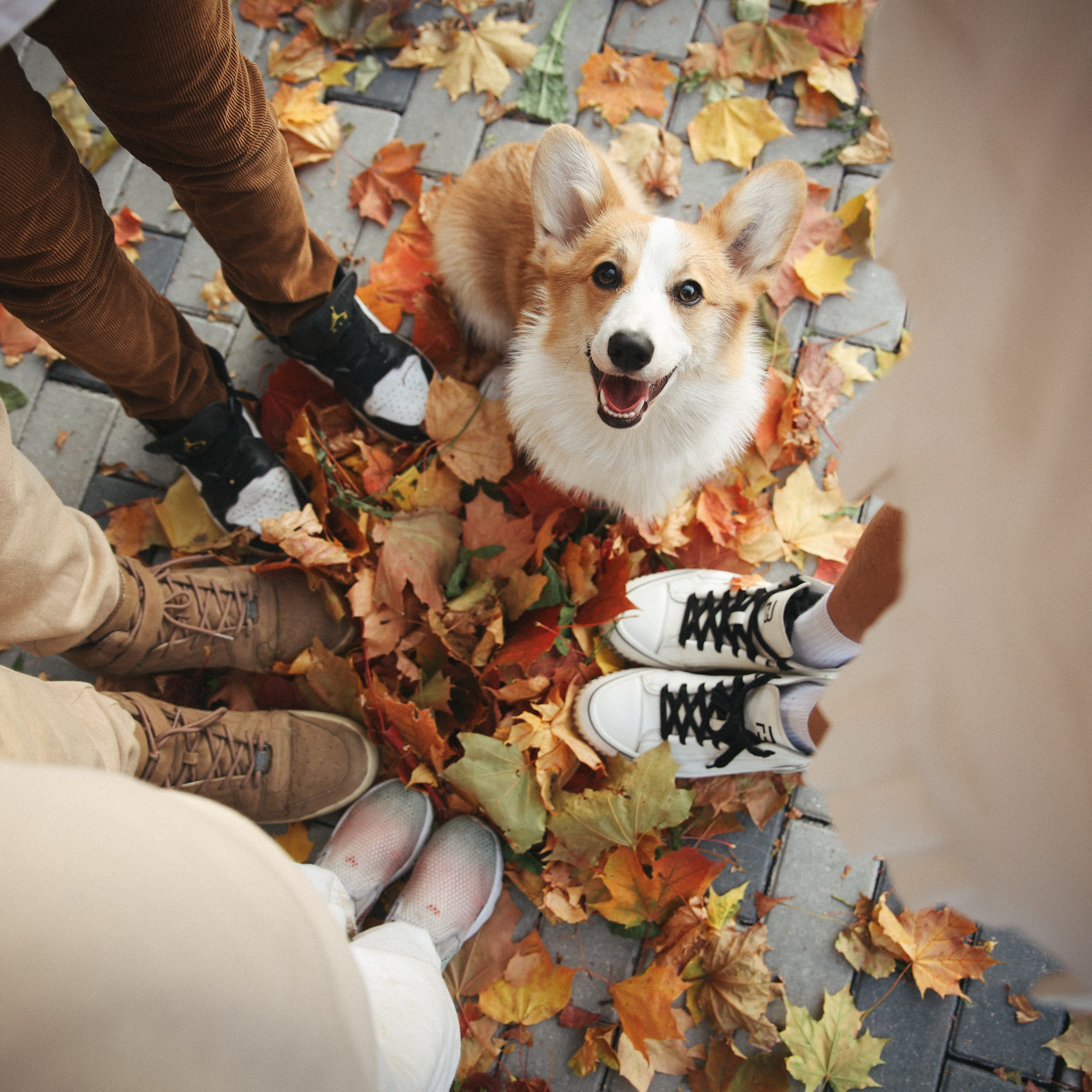 Отзывы. Фотограф Владимир Москва