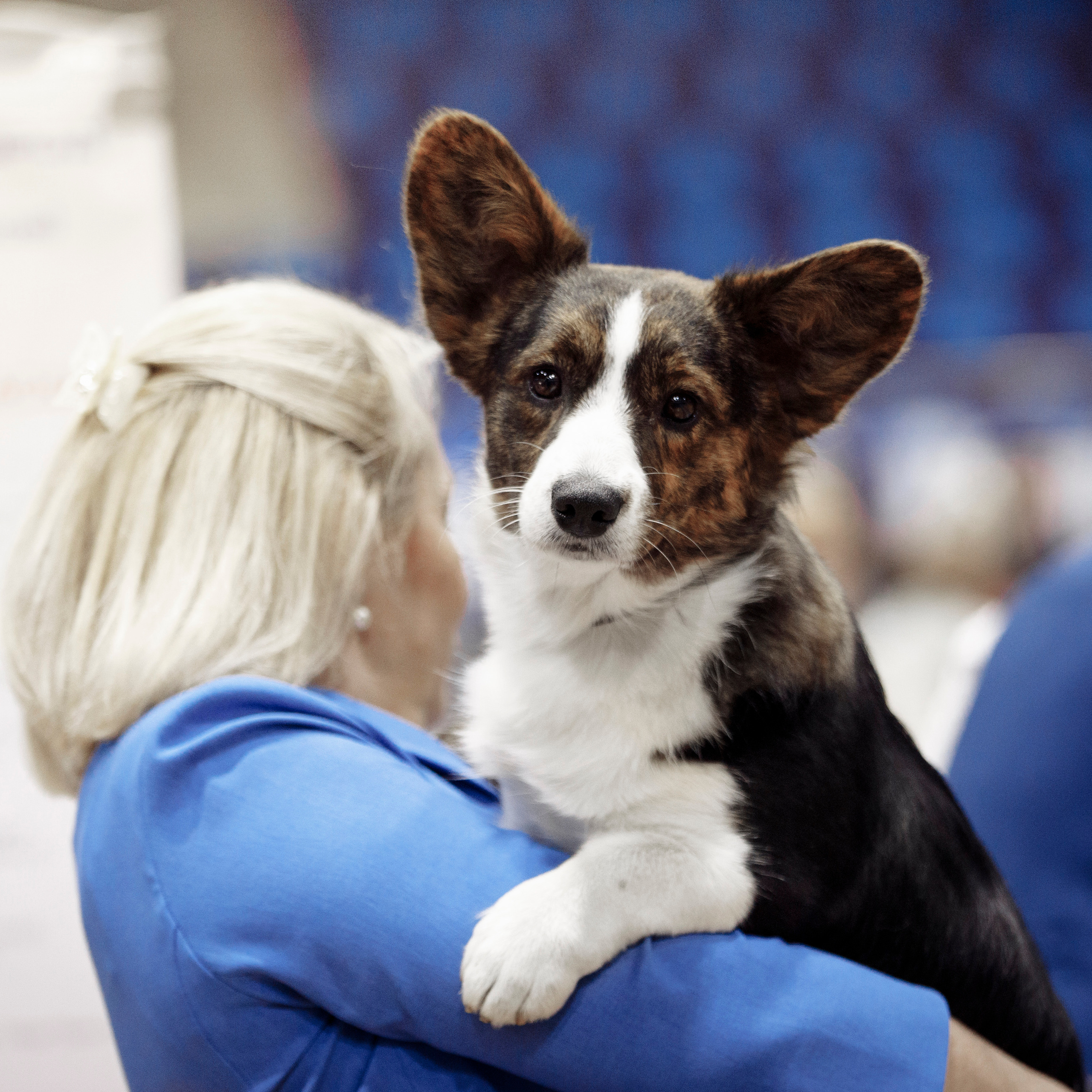 Клиентам. Фотограф-анималист Саша Вязьмина