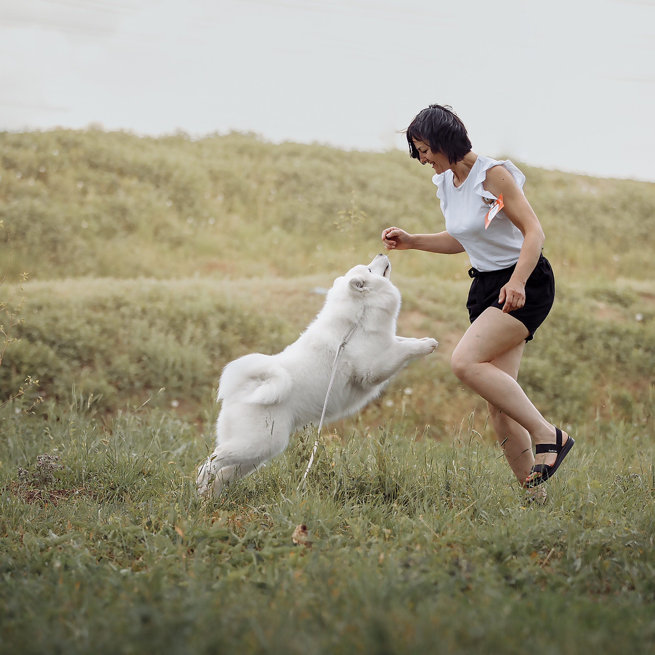 Клиентам. Фотограф-анималист Саша Вязьмина