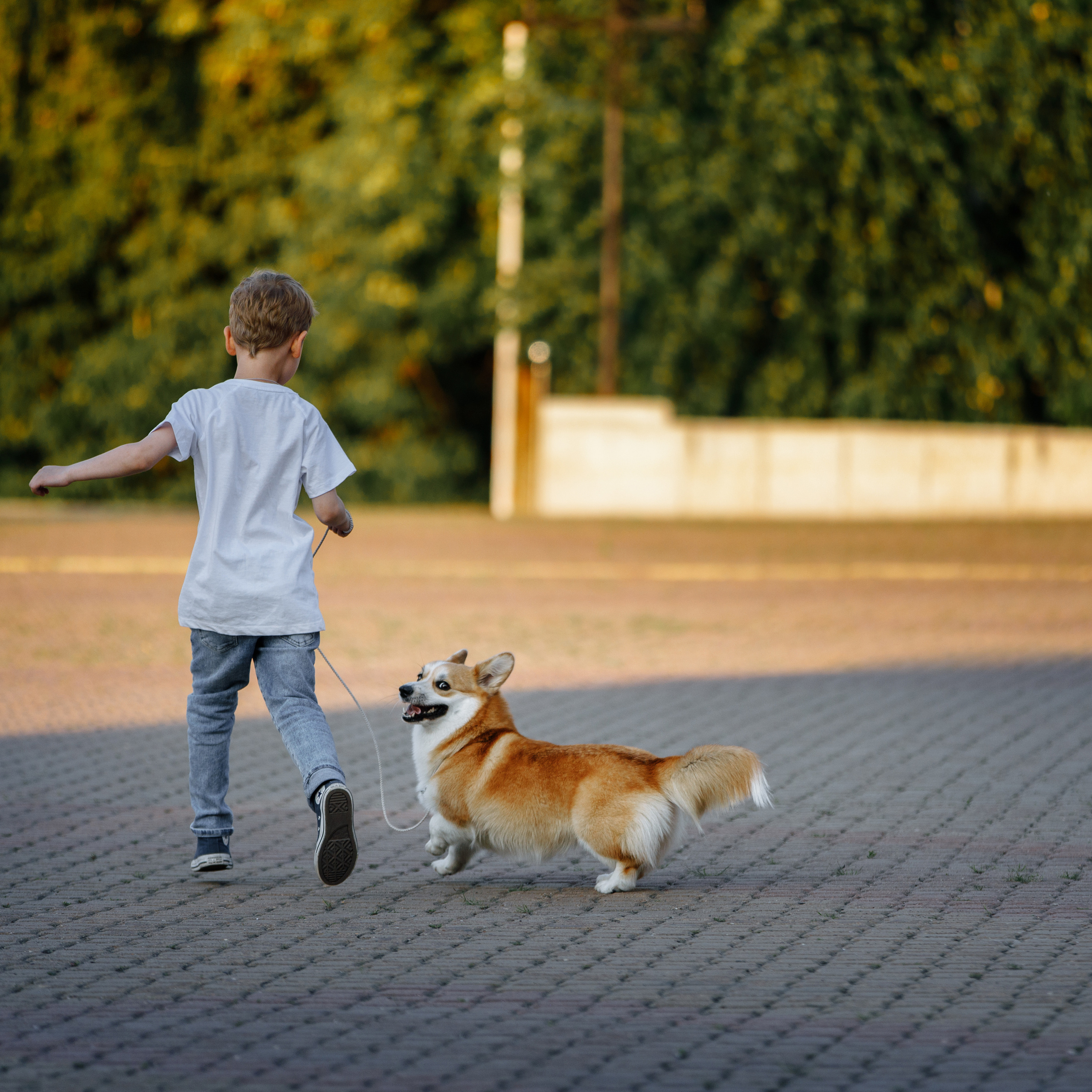 Клиентам. Фотограф-анималист Саша Вязьмина
