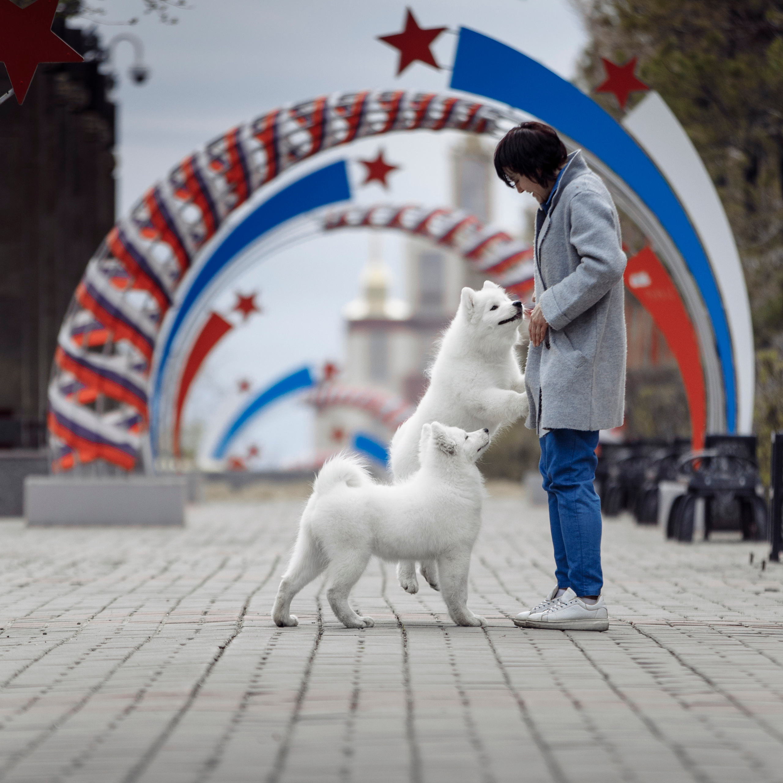 Клиентам. Фотограф-анималист Саша Вязьмина