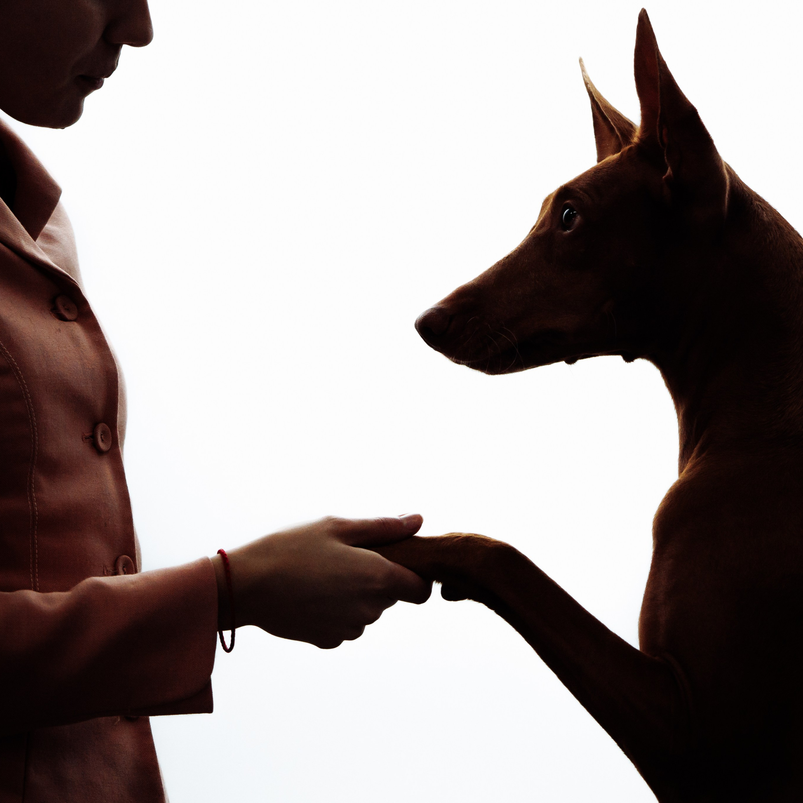 29-30.11.2025&nbsp;— Казань «Зилант»