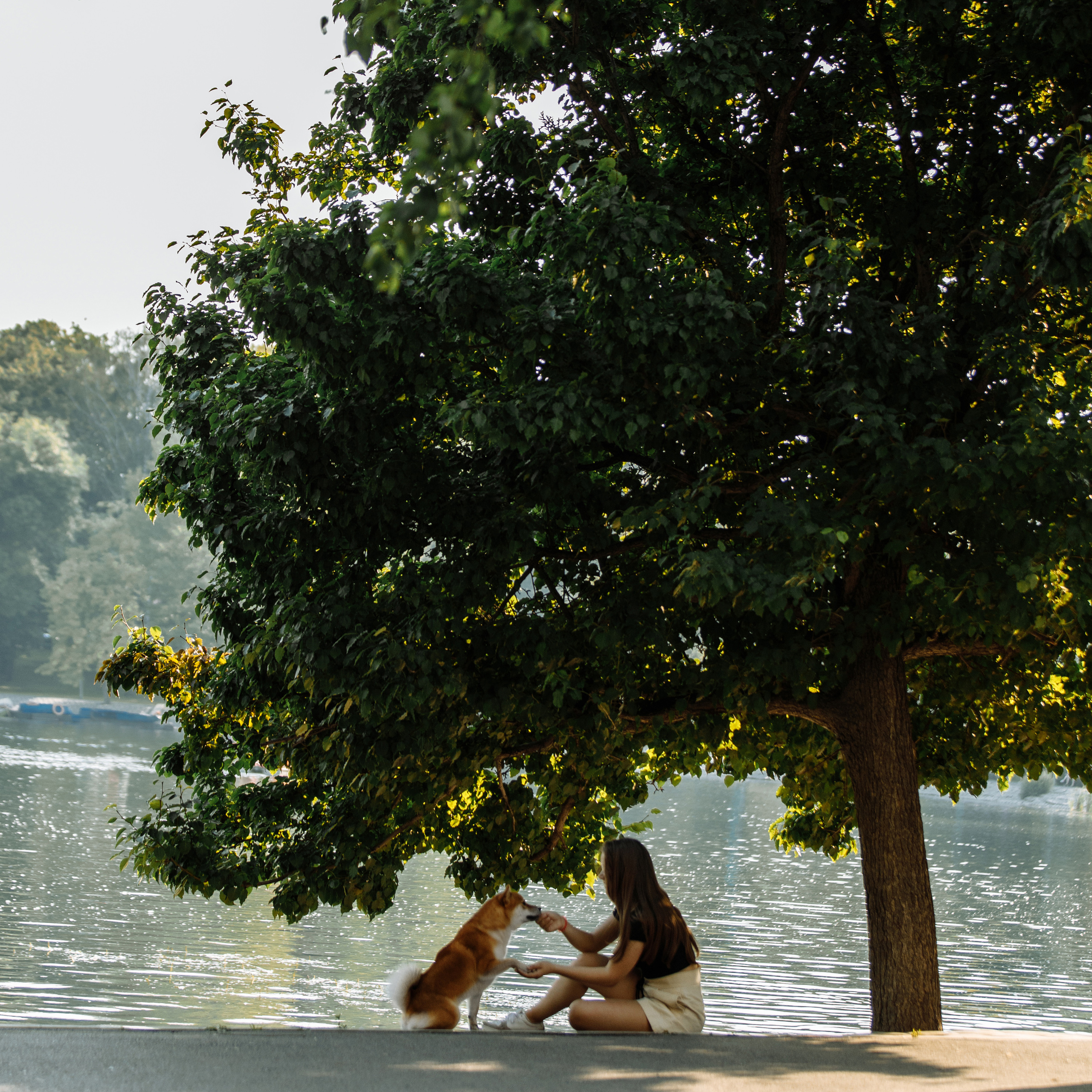 Клиентам. Фотограф-анималист Саша Вязьмина