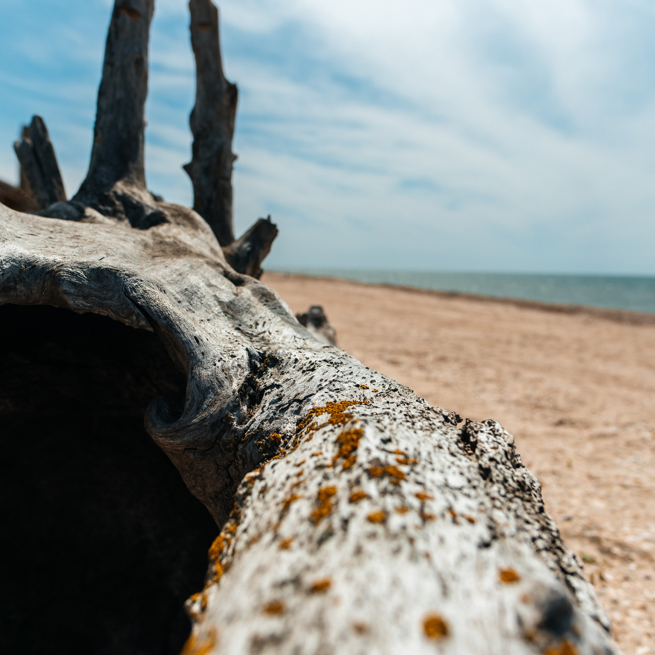 Отзывы. Детский и семейный фотограф выпускной альбом Приморско-Ахтарск