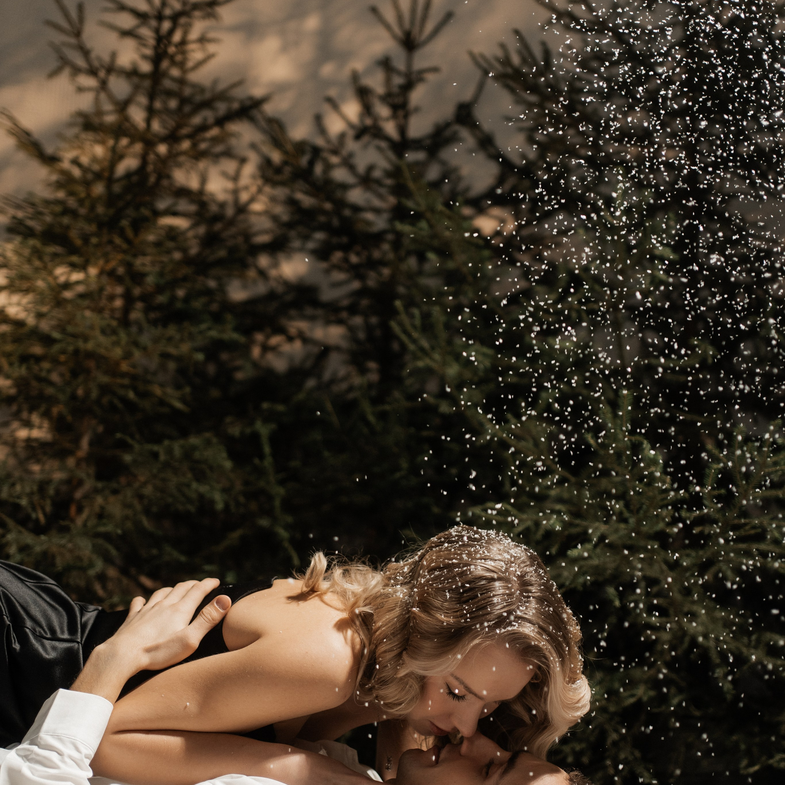 [… under winter firs]