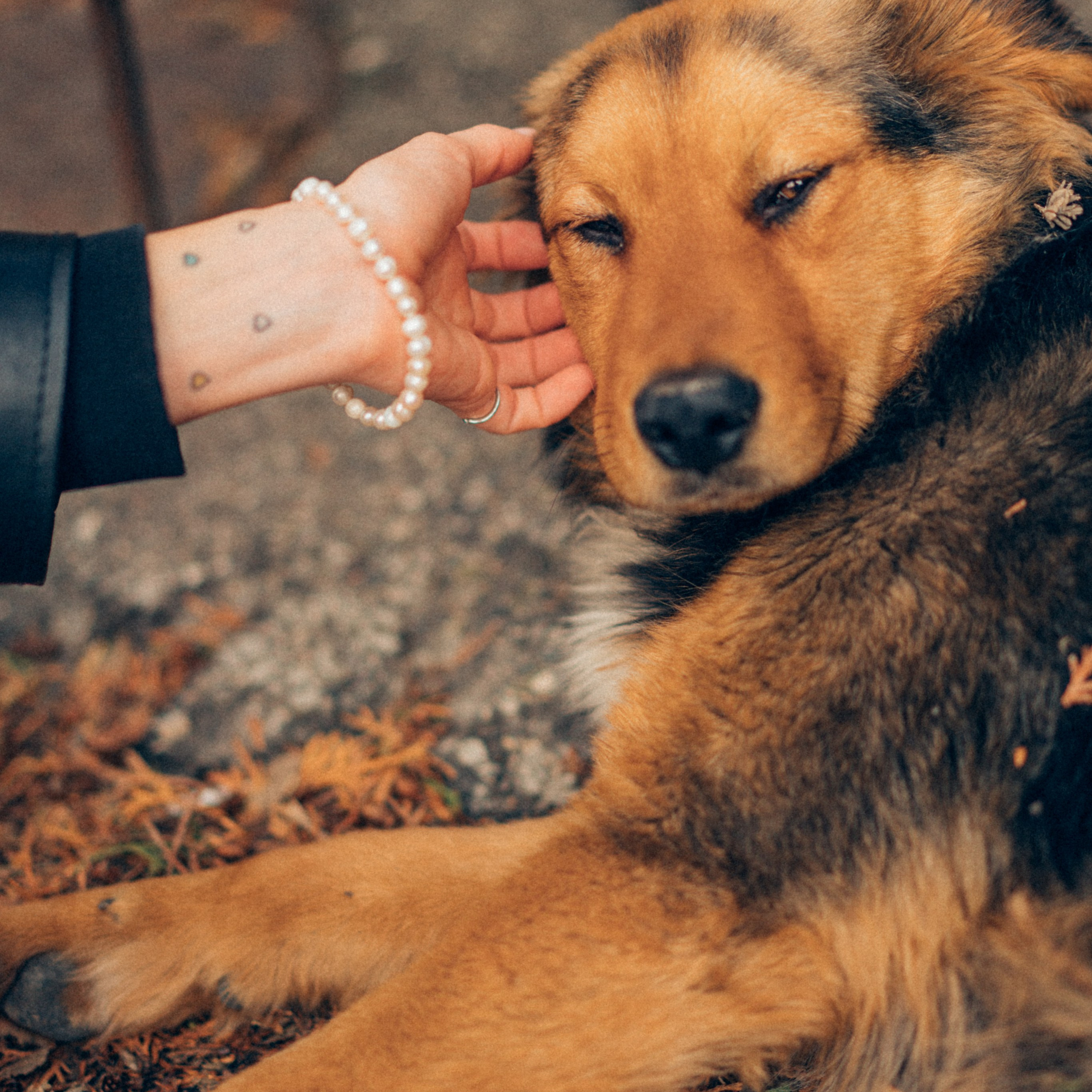 Прогулочная съемка. Фотограф в г. Пятигорске