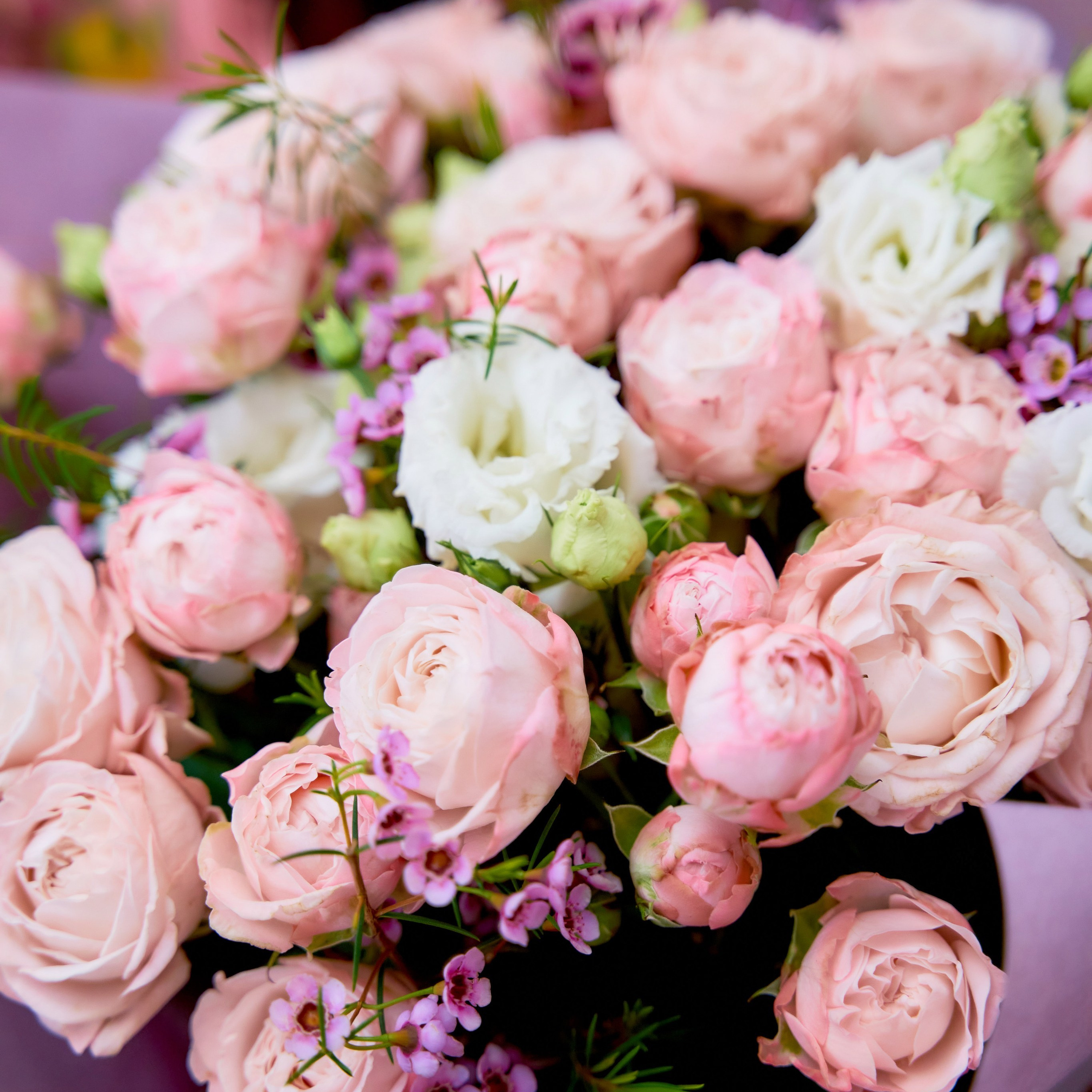 Отзывы. Выпускные фотокниги во Владивостоке Джуган Елена