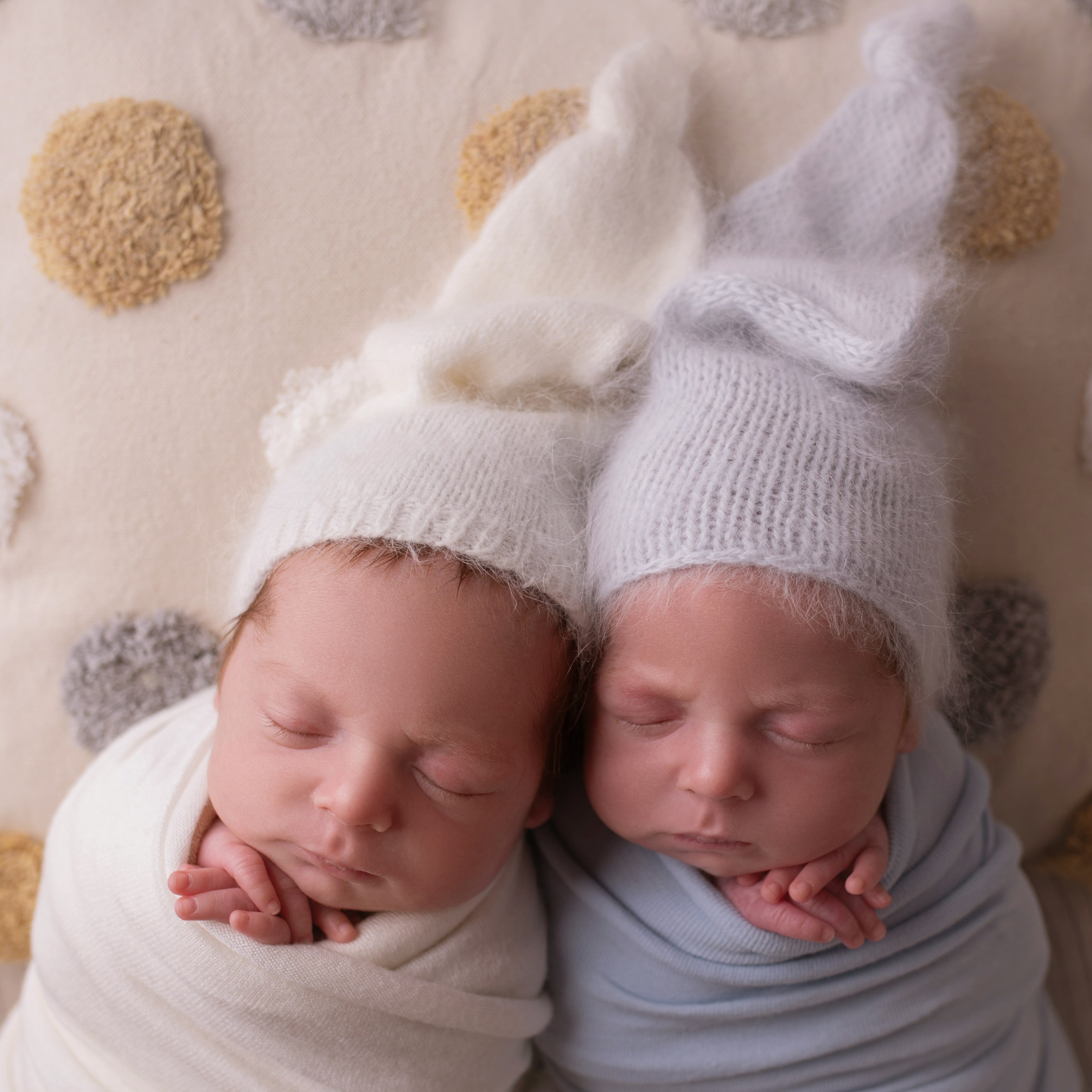 Ярослав и Владислав