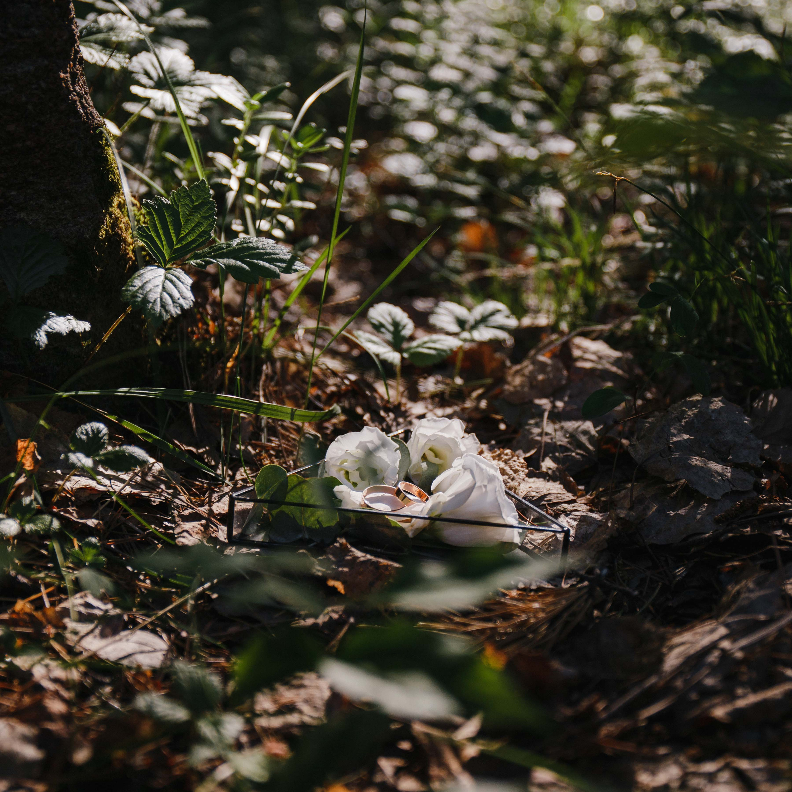 Сергей и Дарья. Свадебный и семейный фотограф  Екатеринбург Челябинск