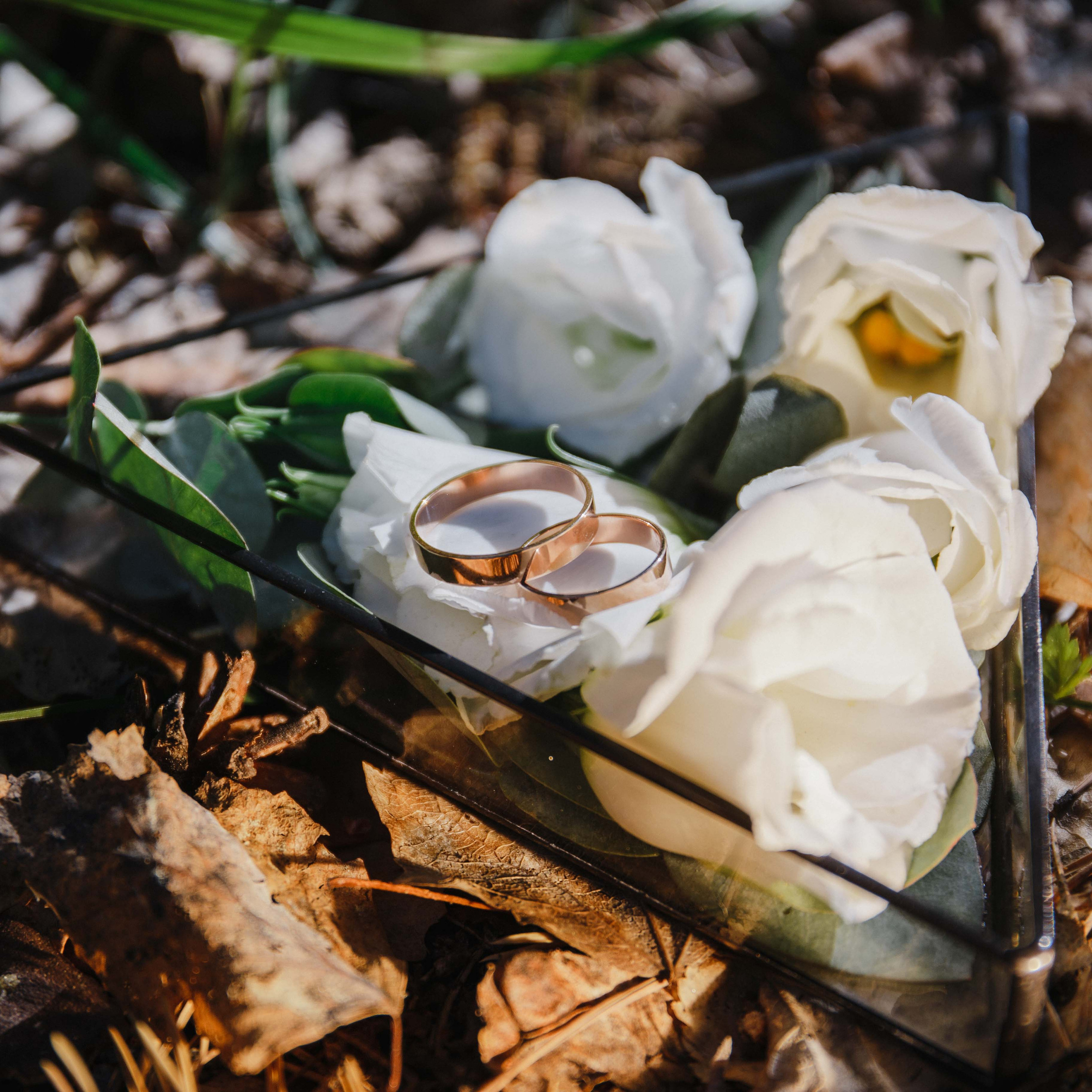 Сергей и Дарья. Свадебный и семейный фотограф  Екатеринбург Челябинск