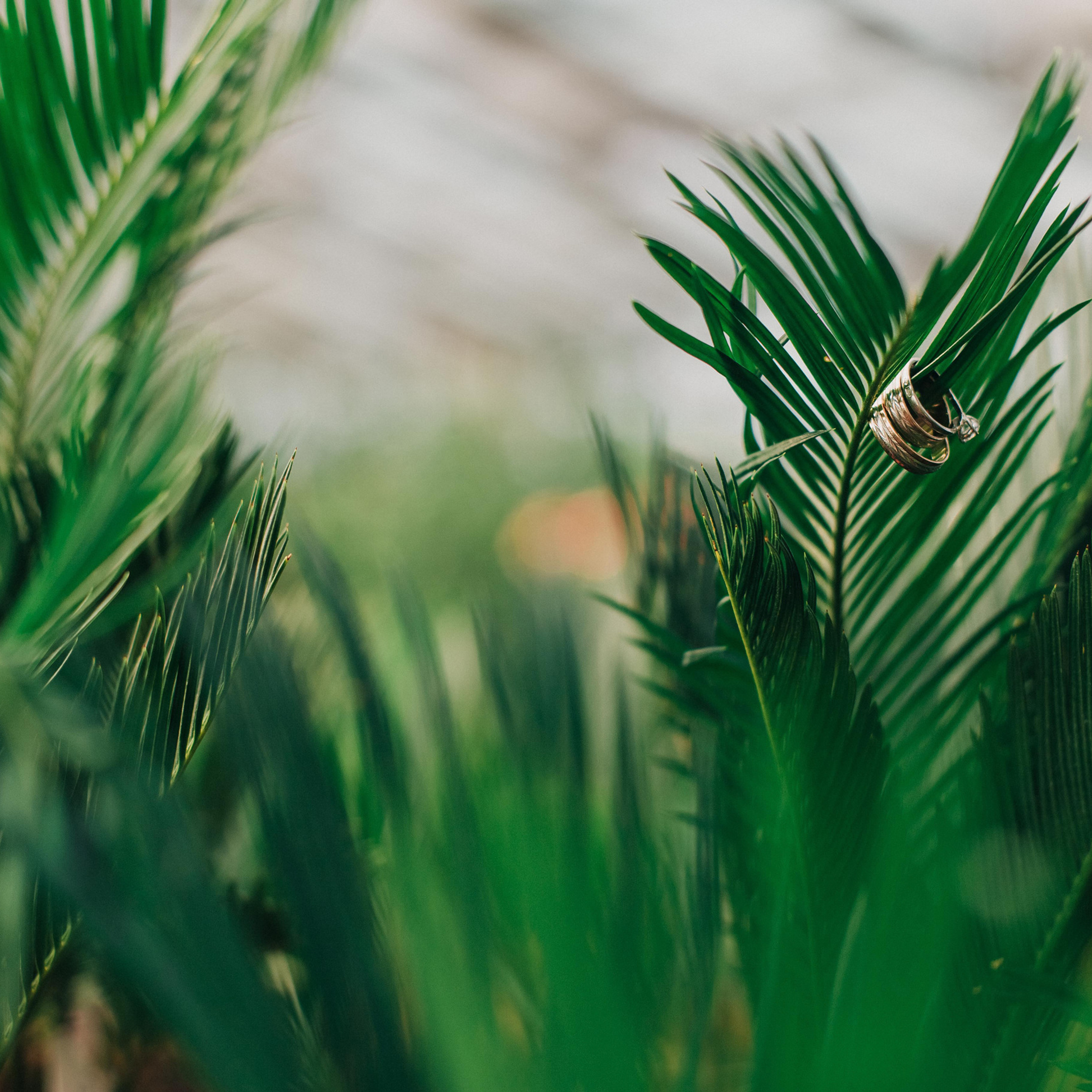 Маргарита и Роман. Свадебный и семейный фотограф  Екатеринбург Челябинск