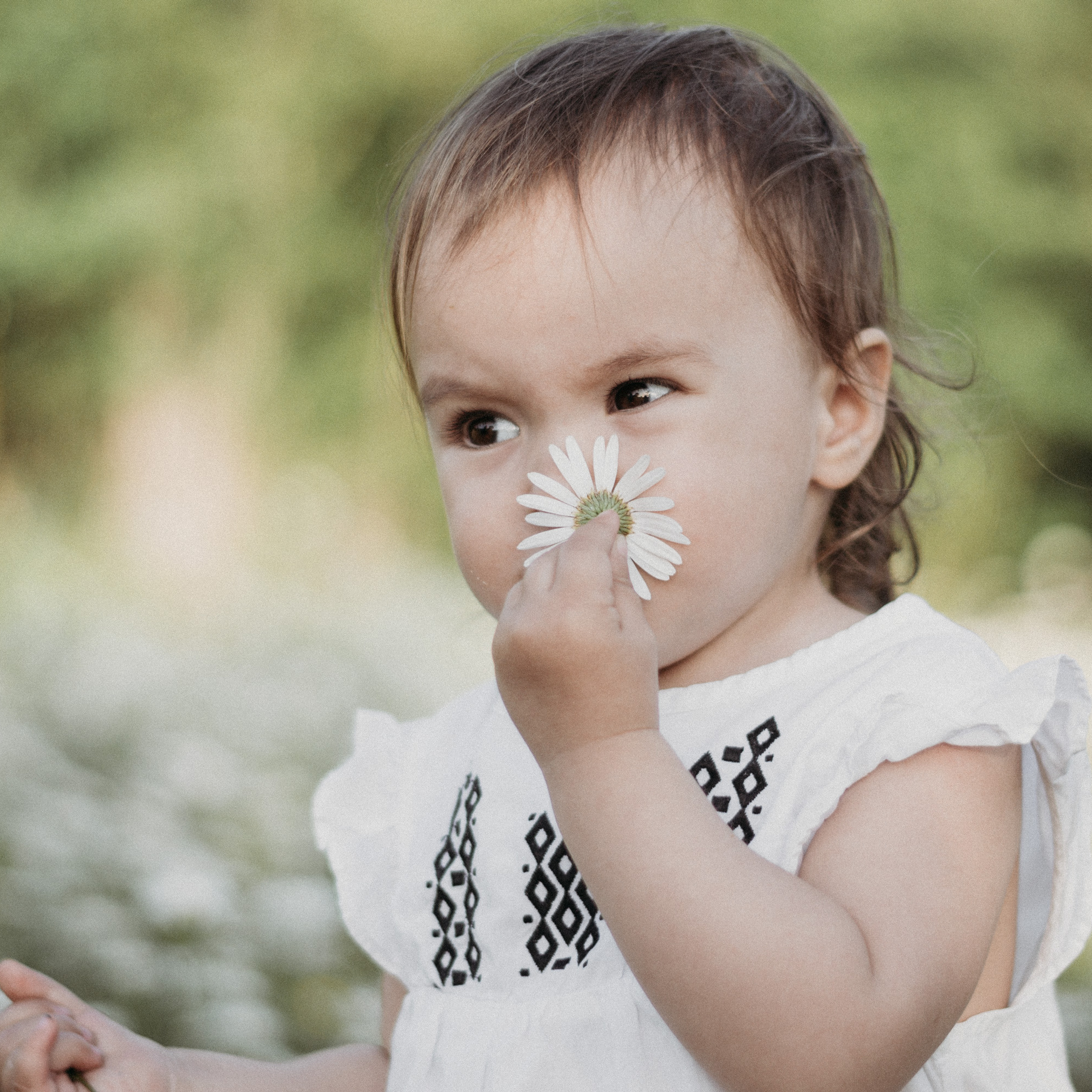 Фотодень в ромашках. Диана. Фотограф в Сочи — Маргарита Поганова