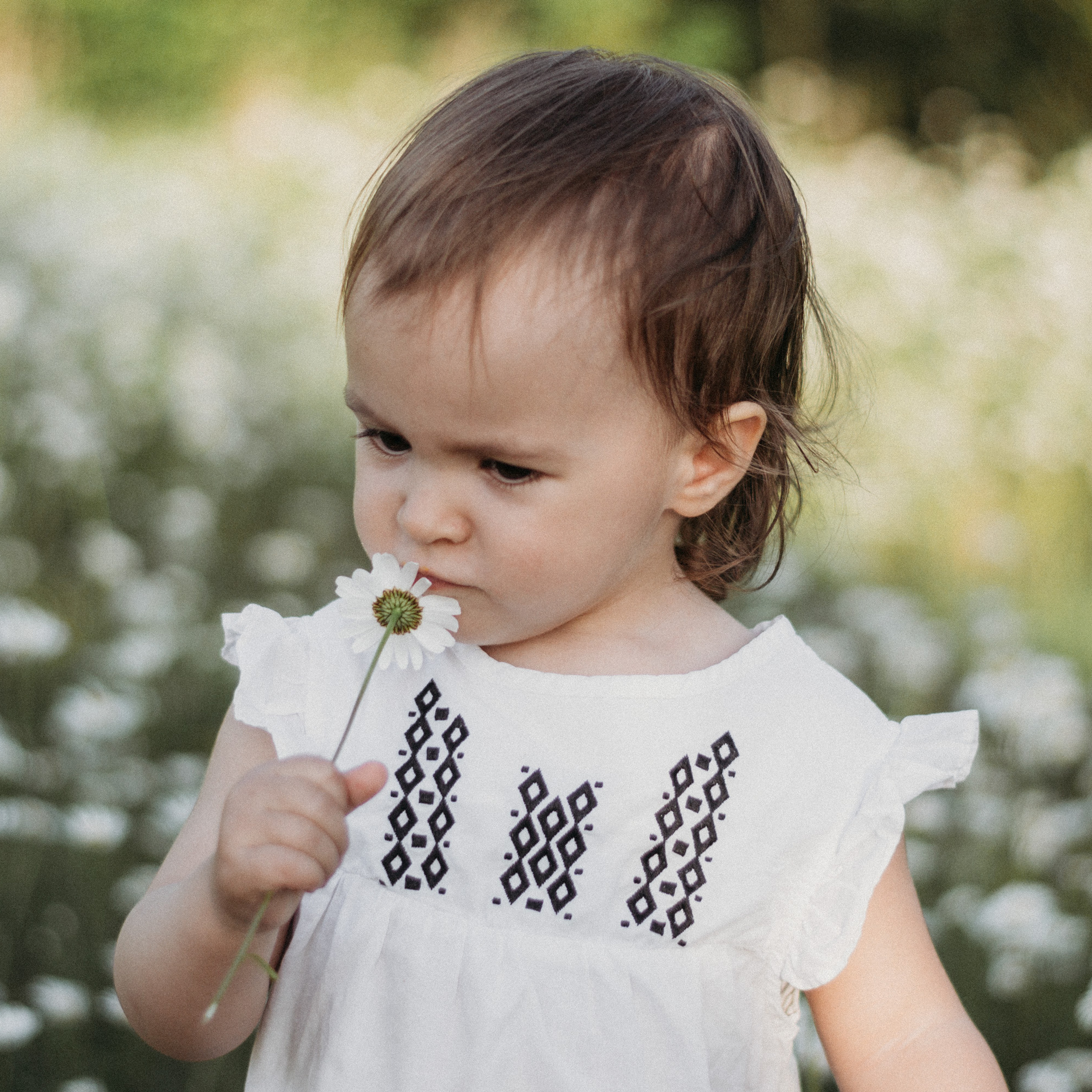 Фотодень в ромашках. Диана. Фотограф в Сочи — Маргарита Поганова