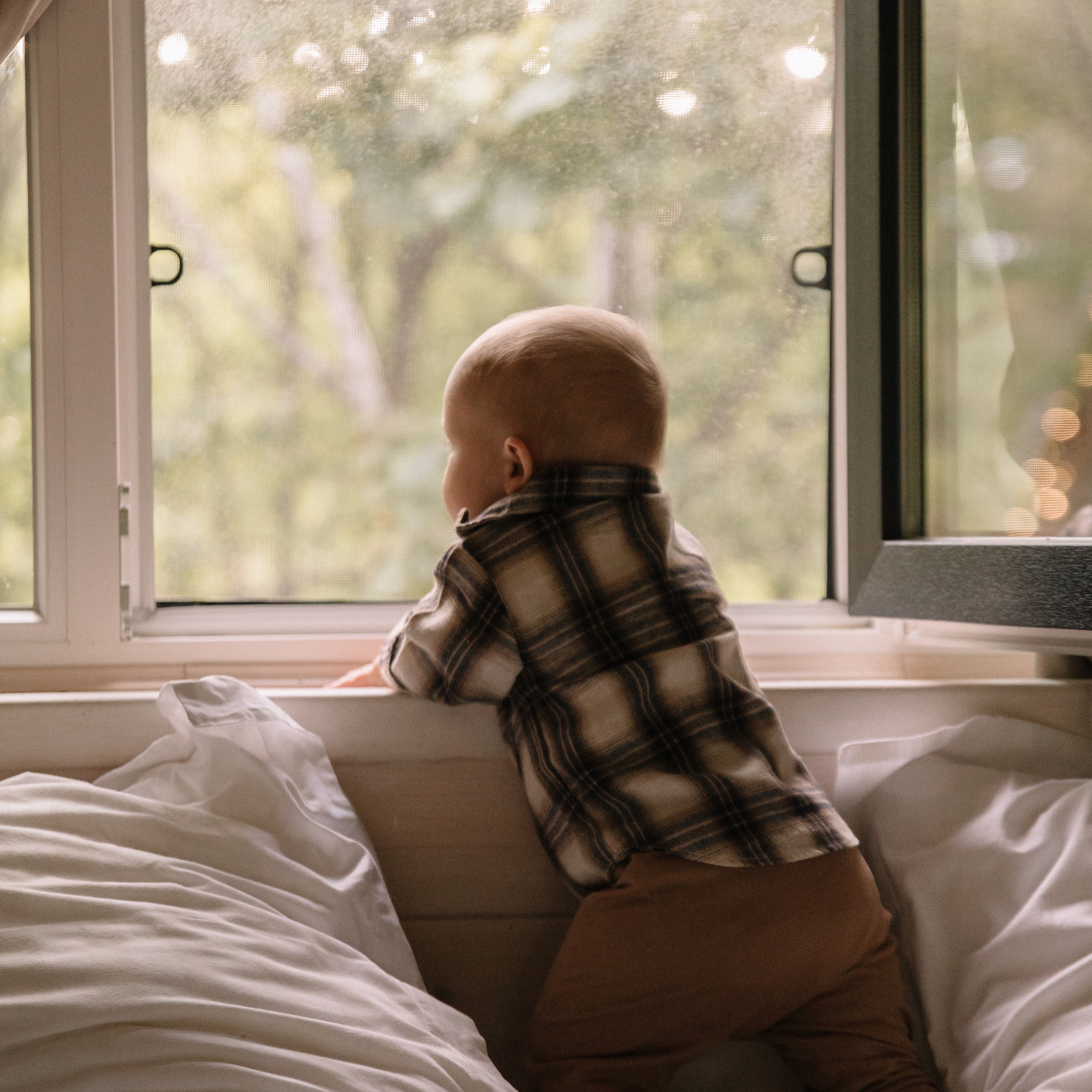 Уютная осенняя история в «Шалашах»