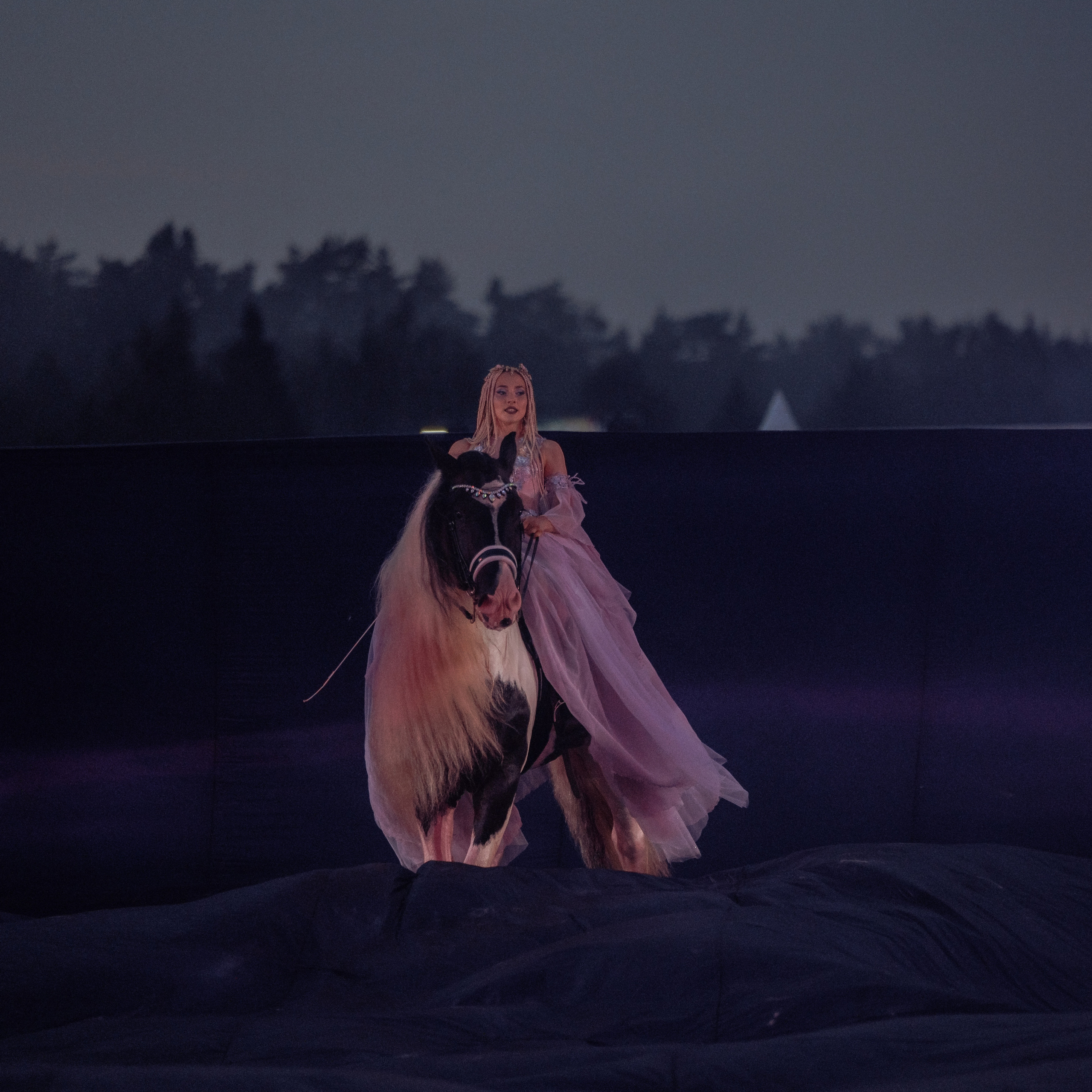 Отзывы. Детская Конная фотография в Москве Юлия Шепелева