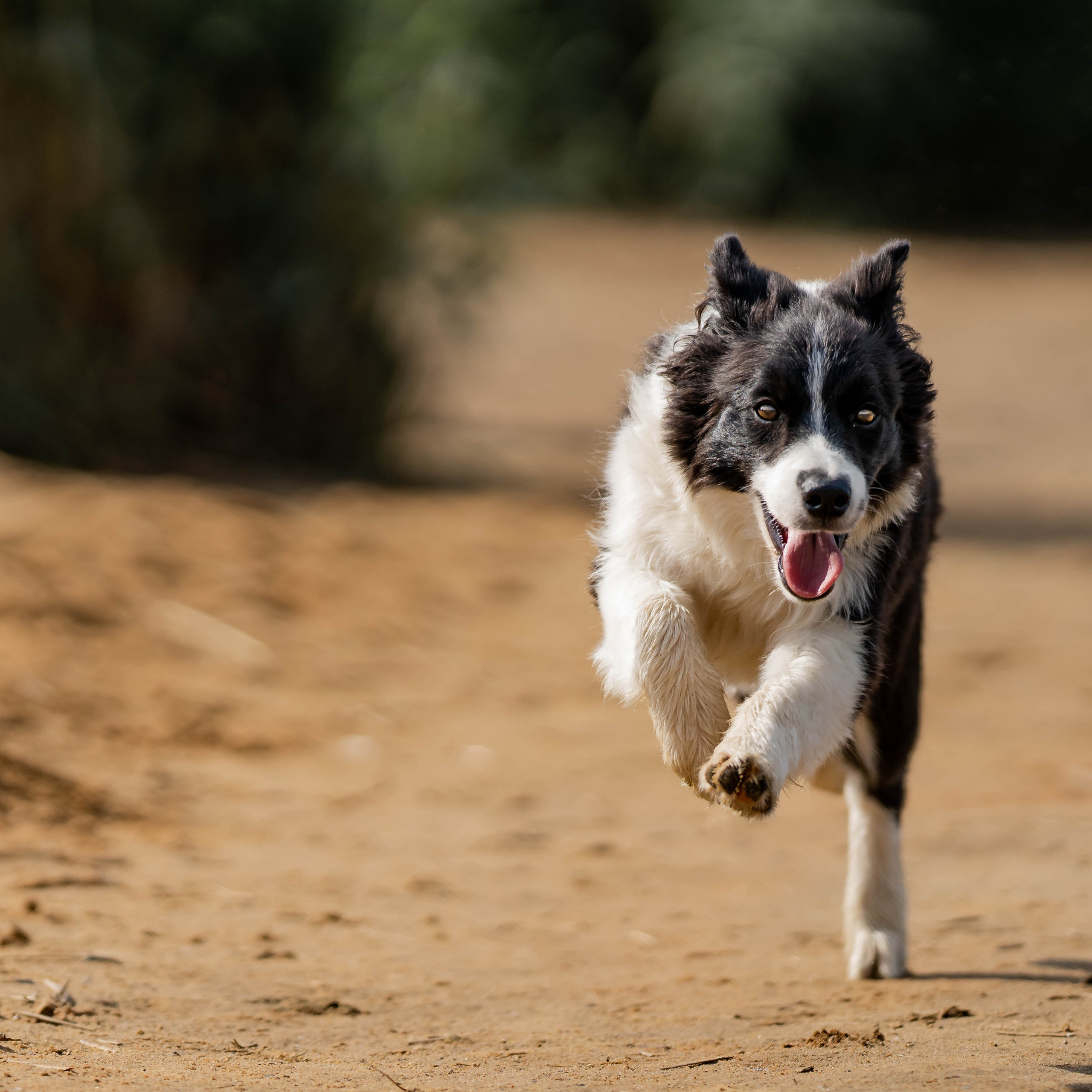 Отзывы о фотографе Ефремова Виктория. Семейный фотограф Ефремова Виктория