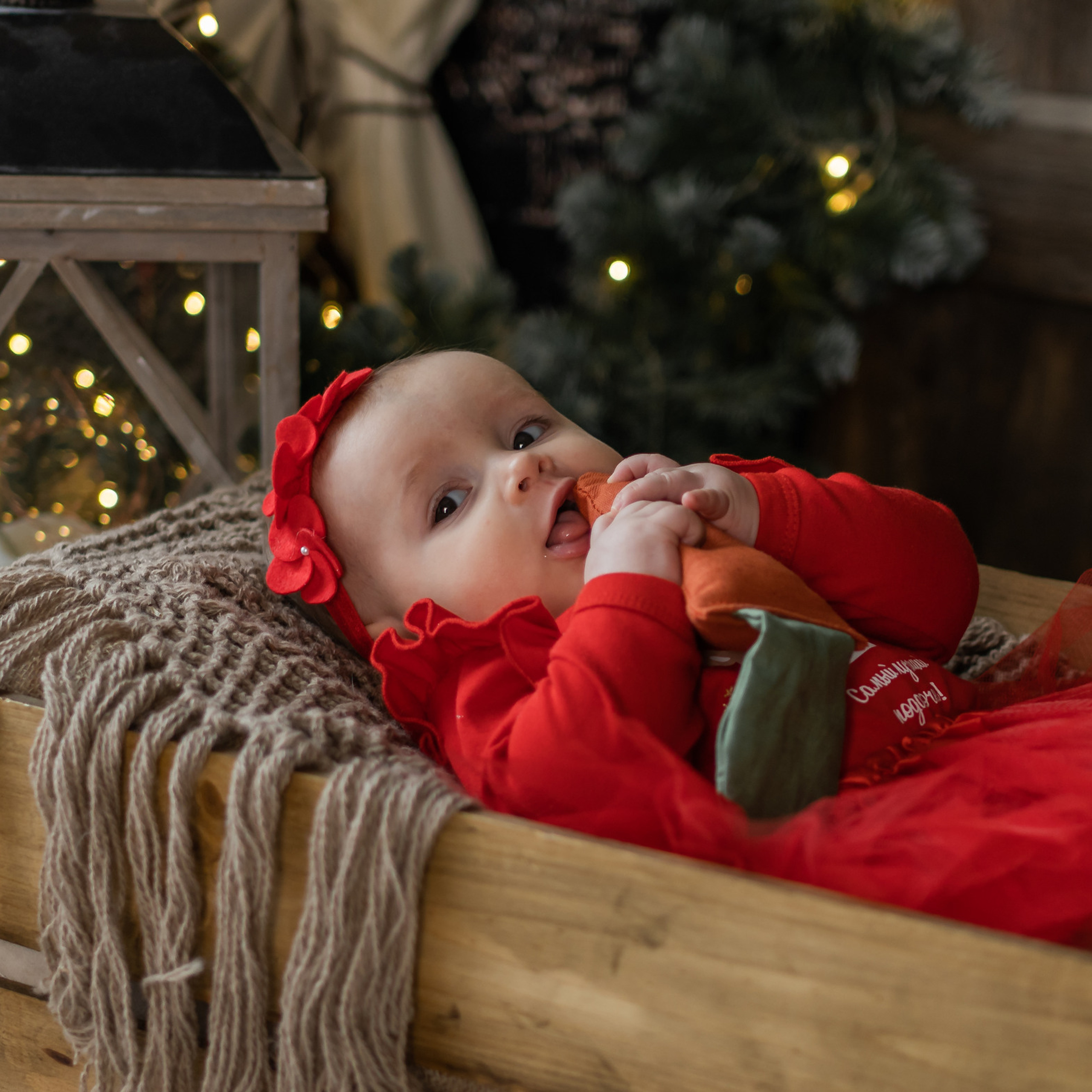 Отзывы о фотографе Ефремова Виктория. Семейный фотограф Ефремова Виктория